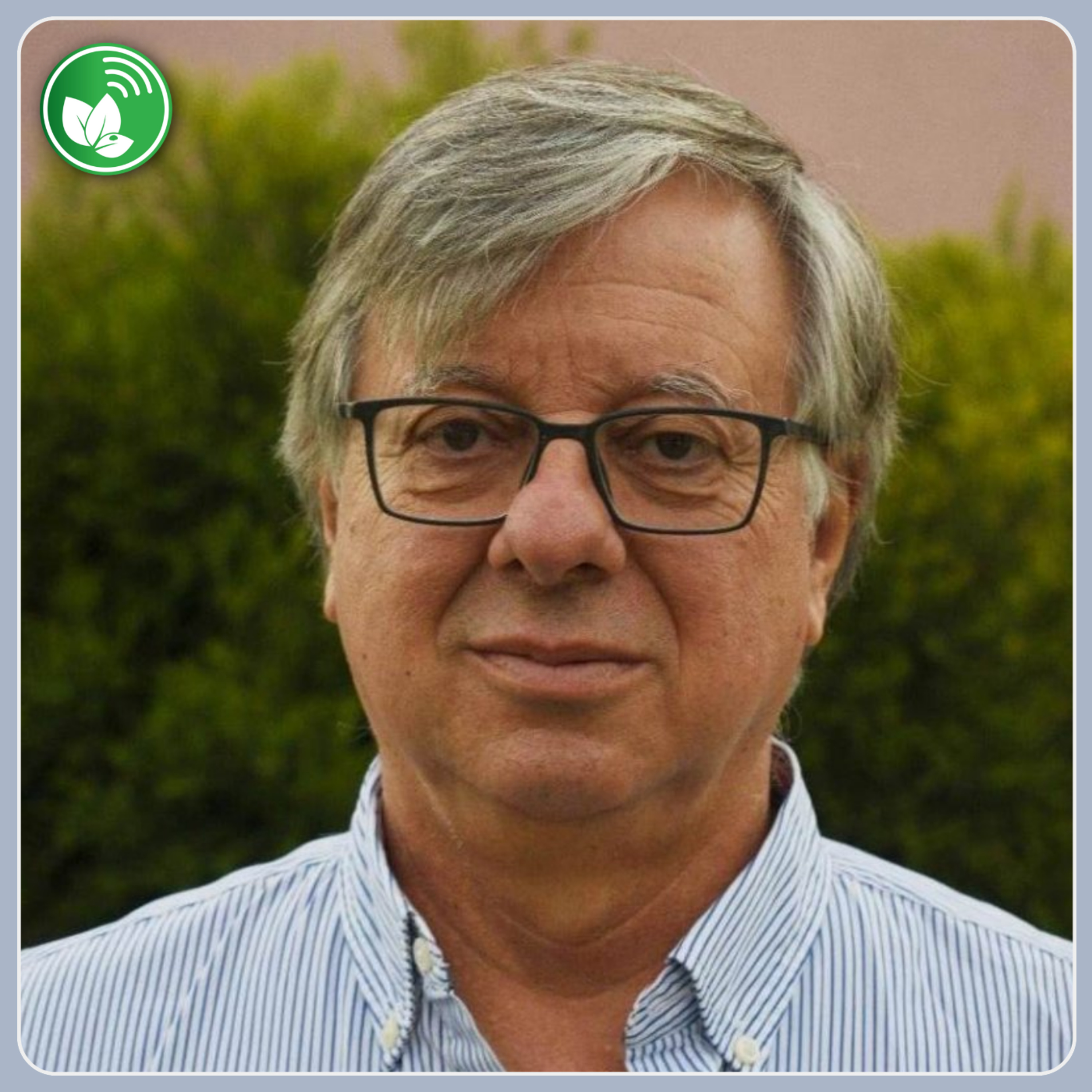 Portada de Palabra de Campo