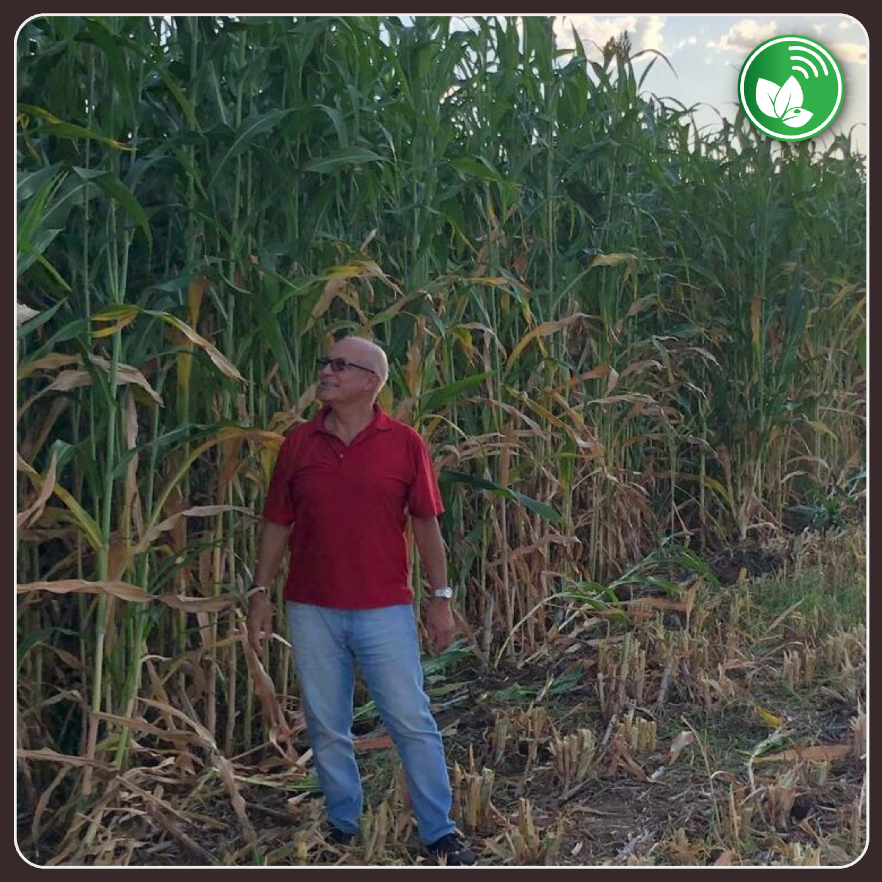 Palabra de Campo