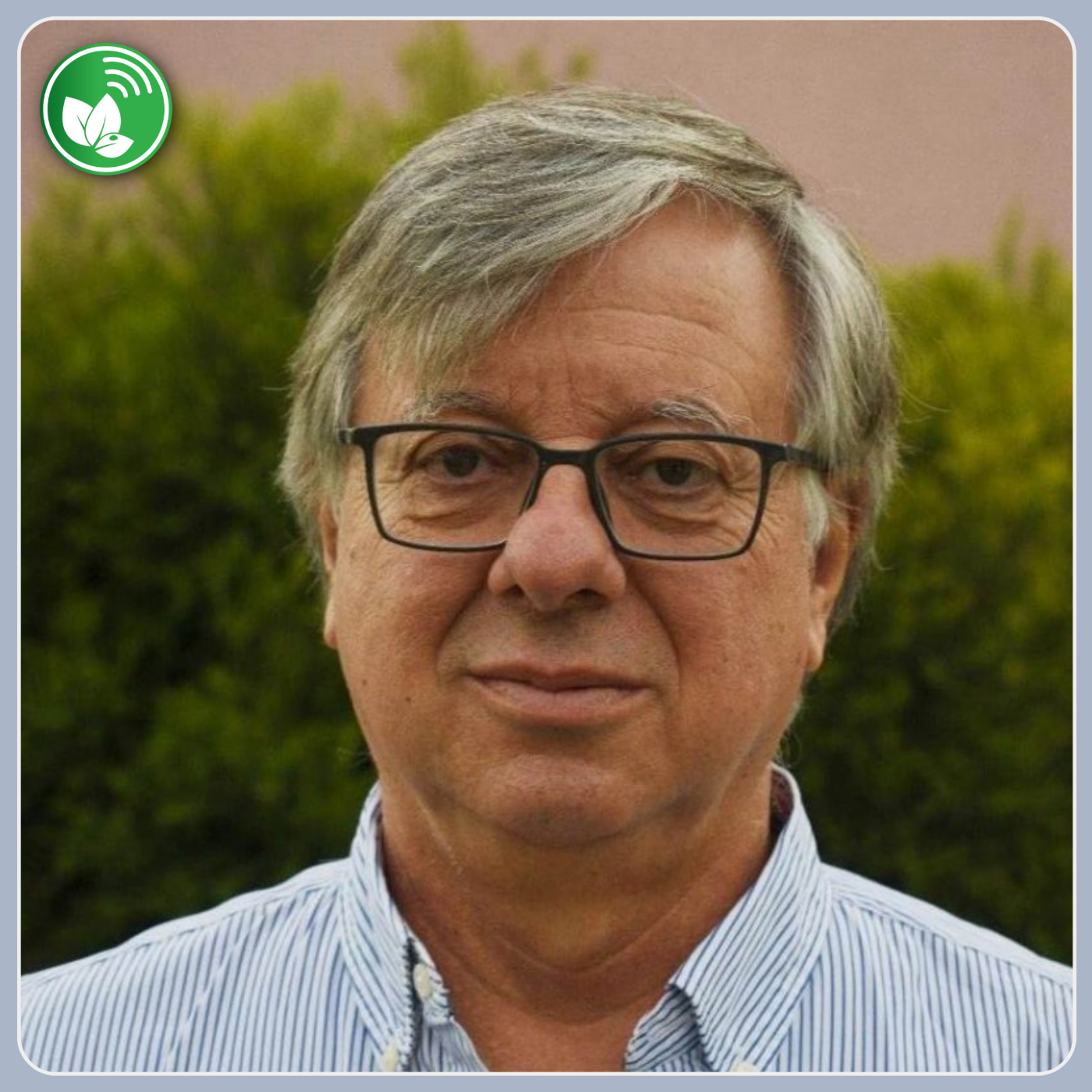 Portada de Palabra de Campo