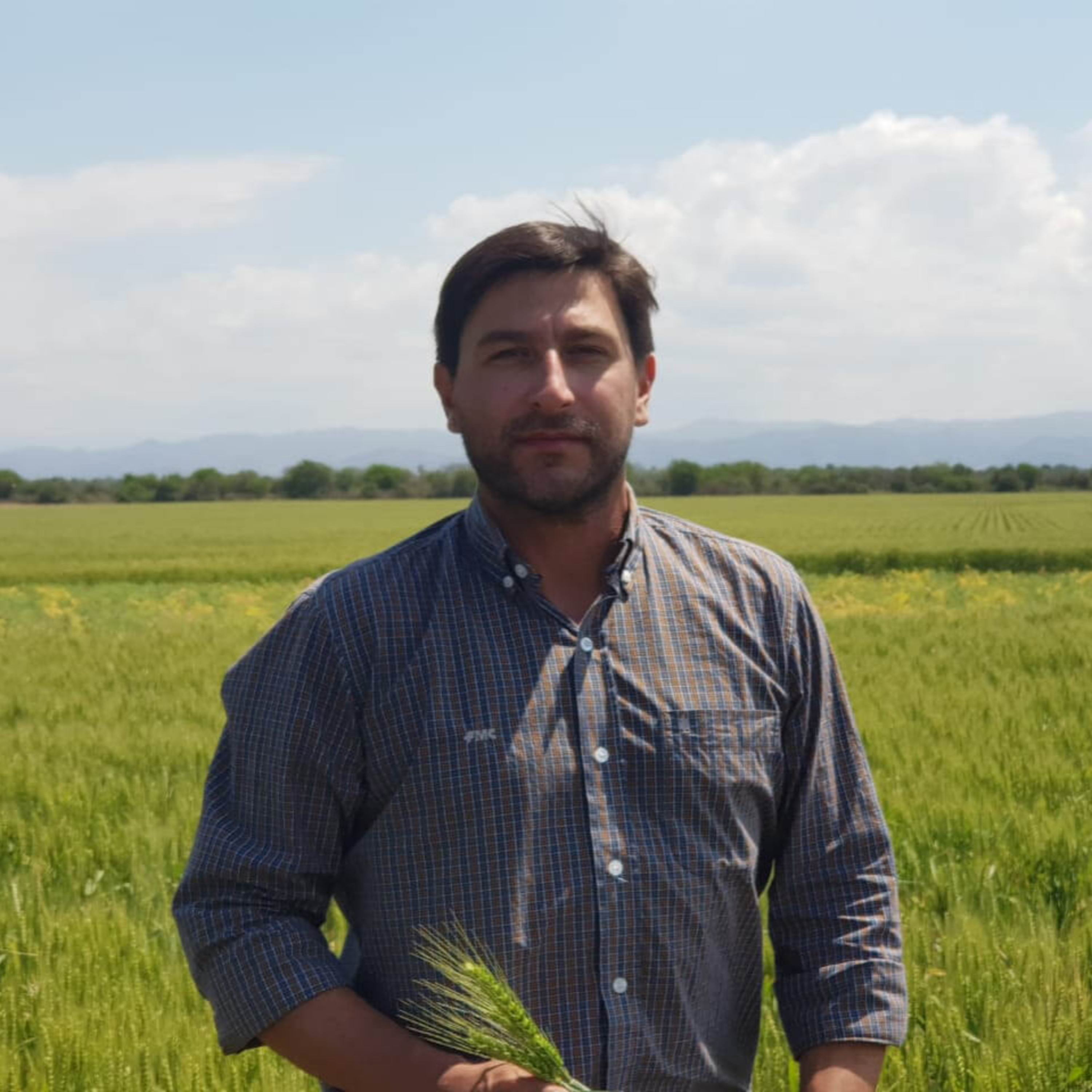 Portada de Palabra de Campo