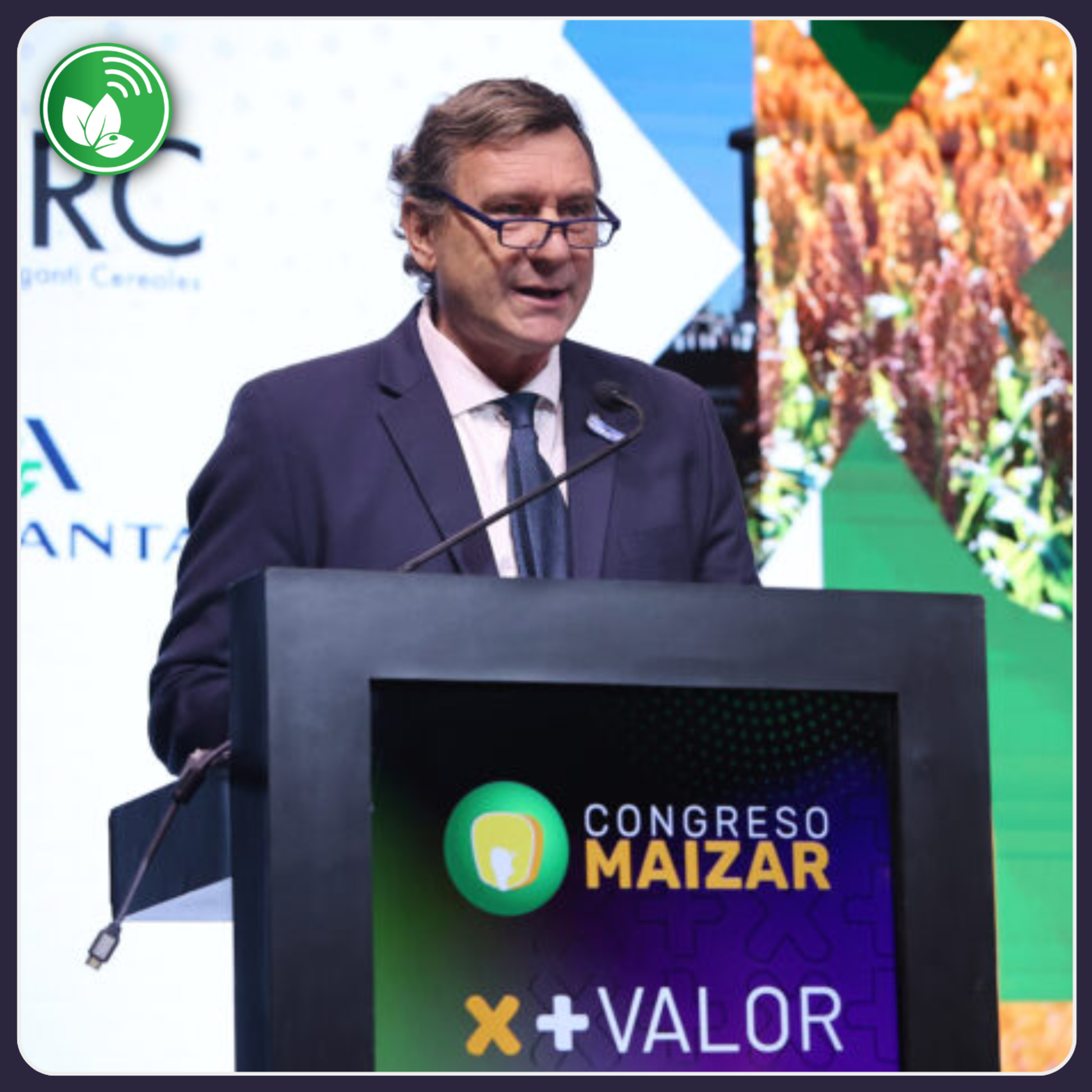 Portada de Palabra de Campo
