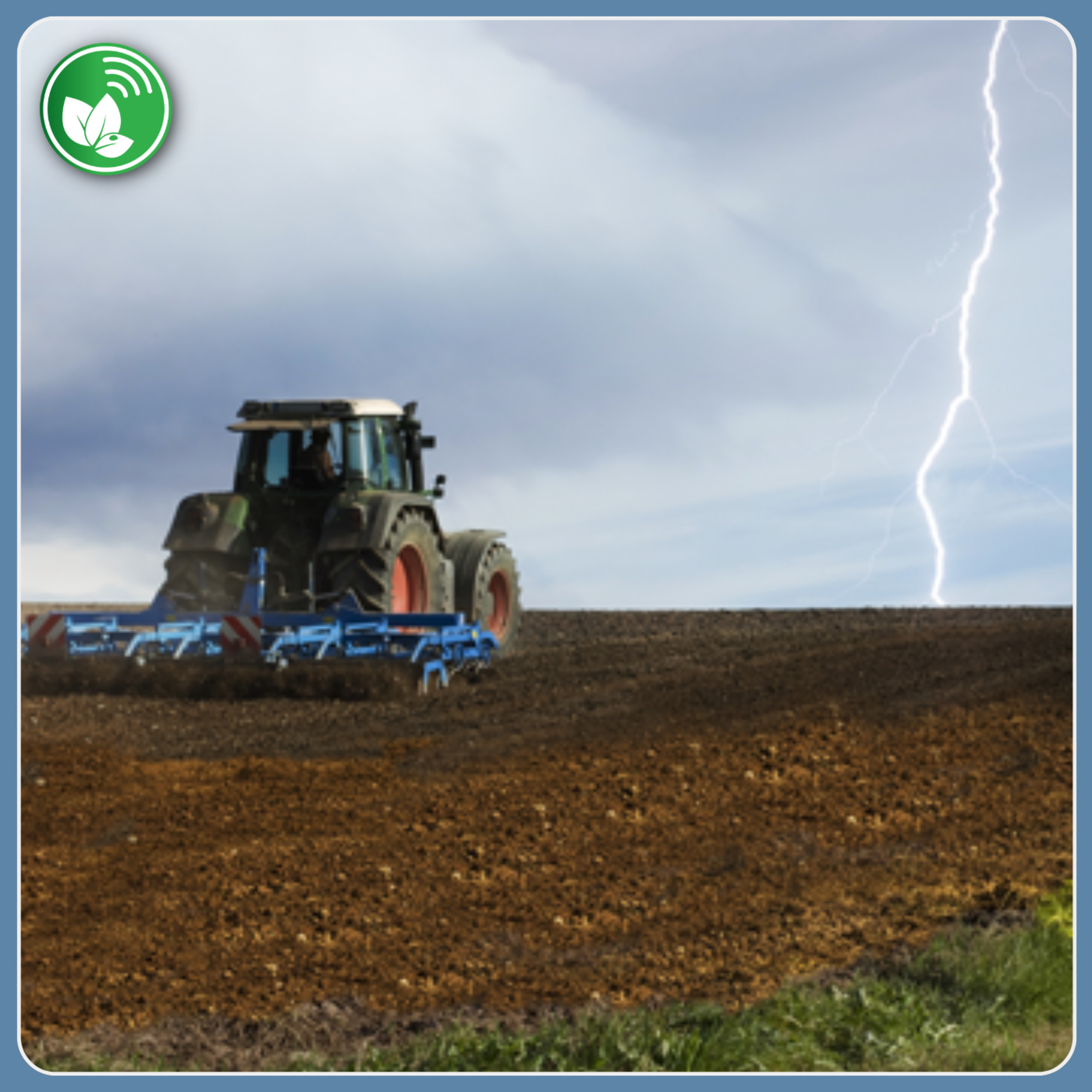 Portada de Palabra de Campo