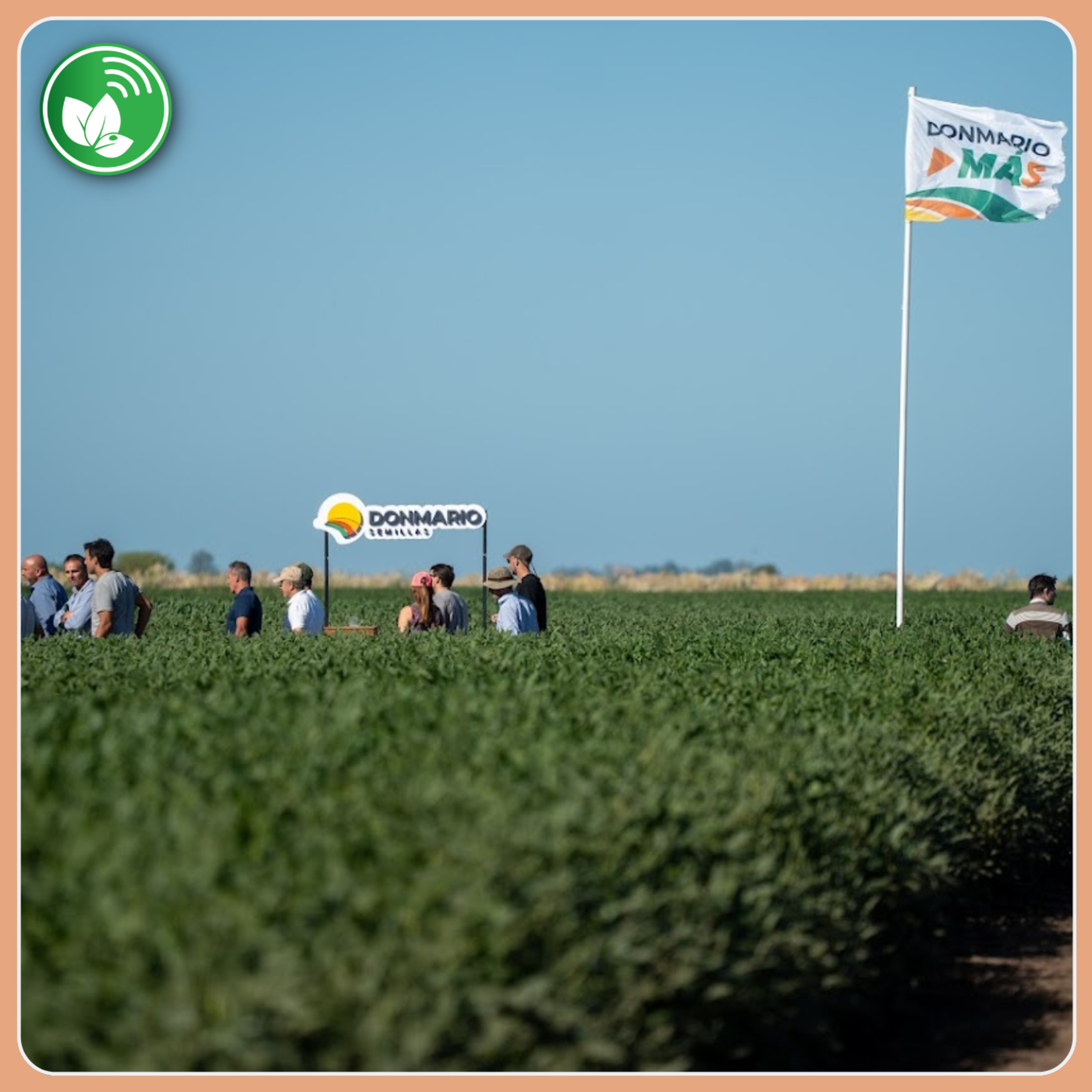 Portada de Palabra de Campo