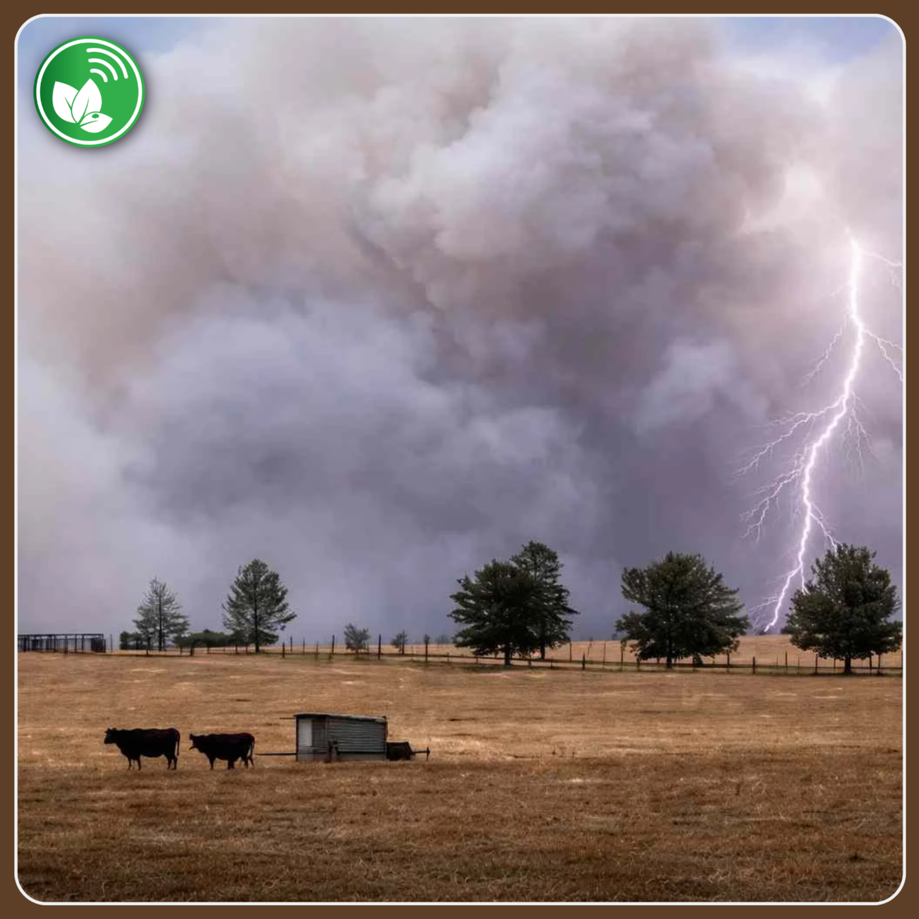 Portada de Palabra de Campo