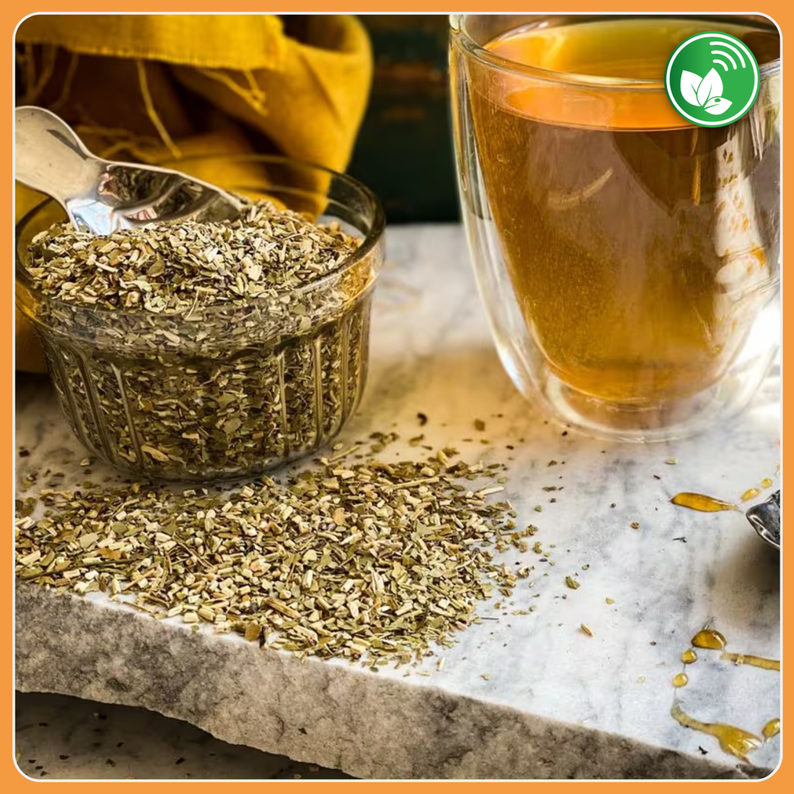India abre una oportunidad histórica para la yerba mate argentina episode artwork