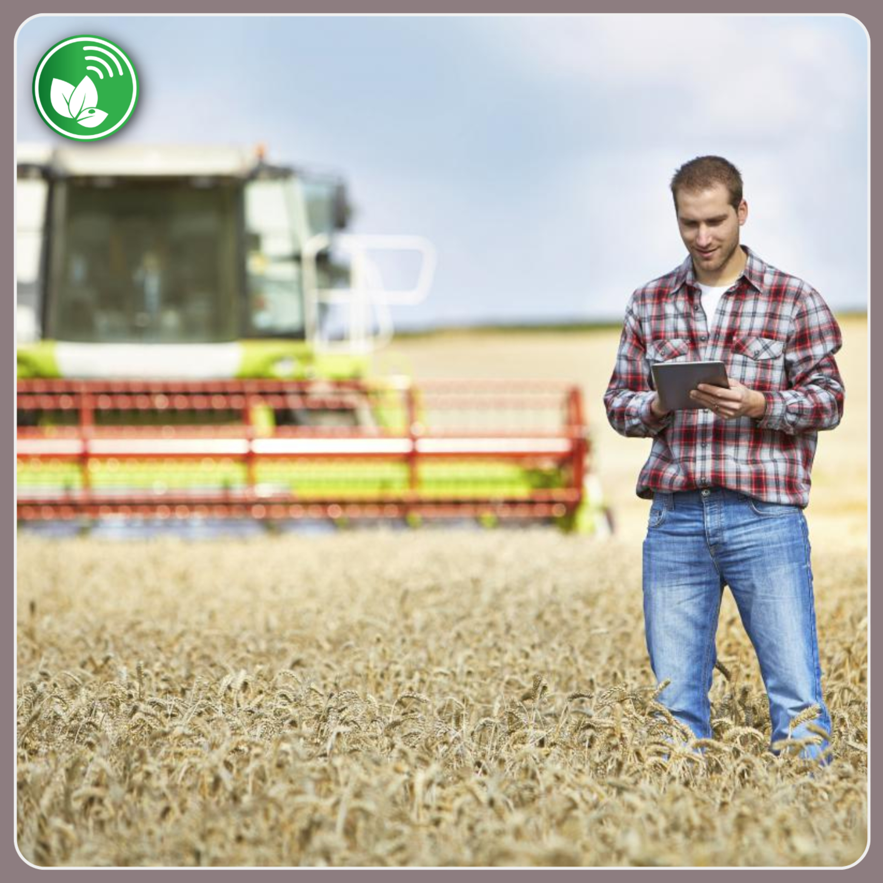 Los datos ya no alcanzan: cómo convertir información en mejores decisiones para el agro episode artwork