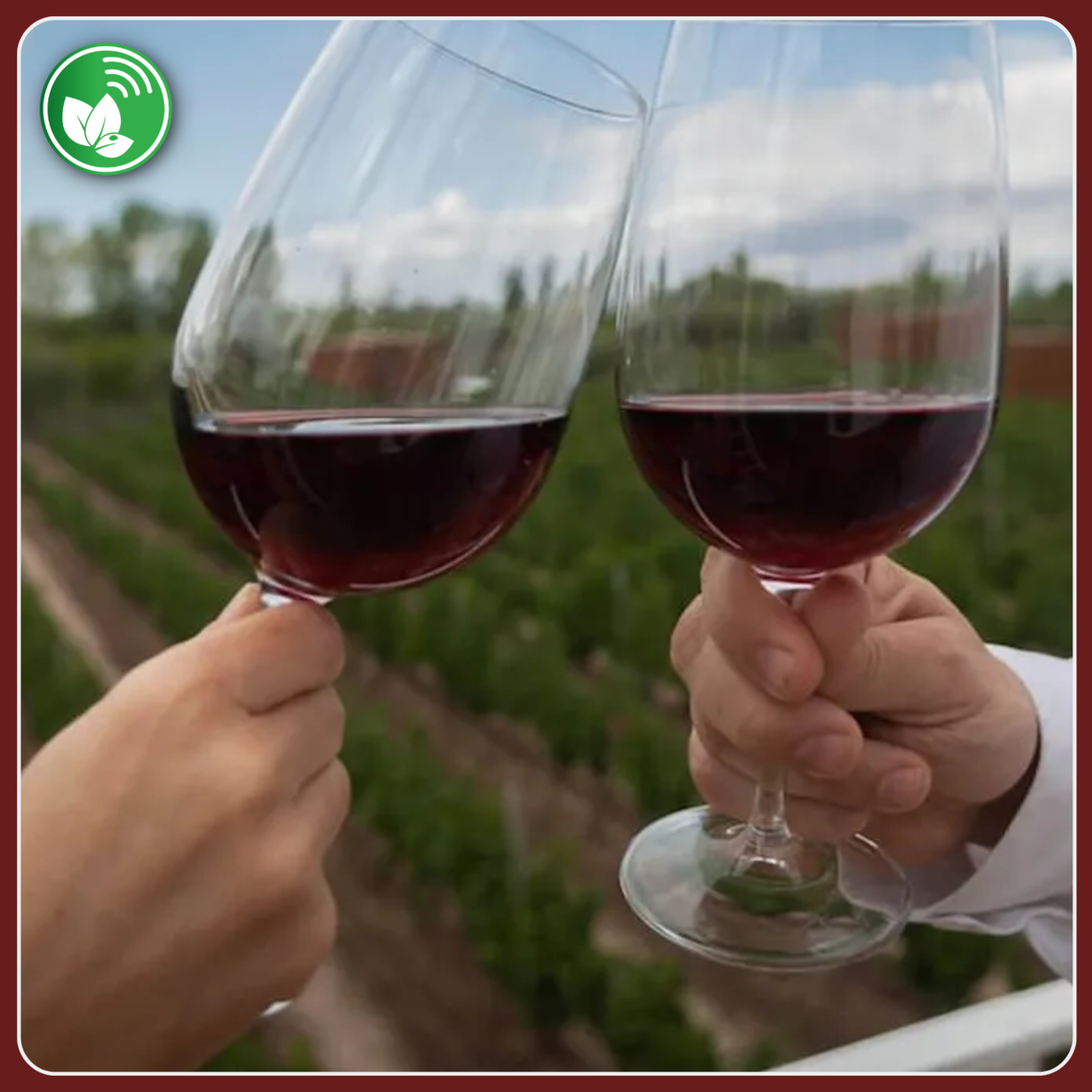 Vino argentino: un mercado en transformación episode artwork