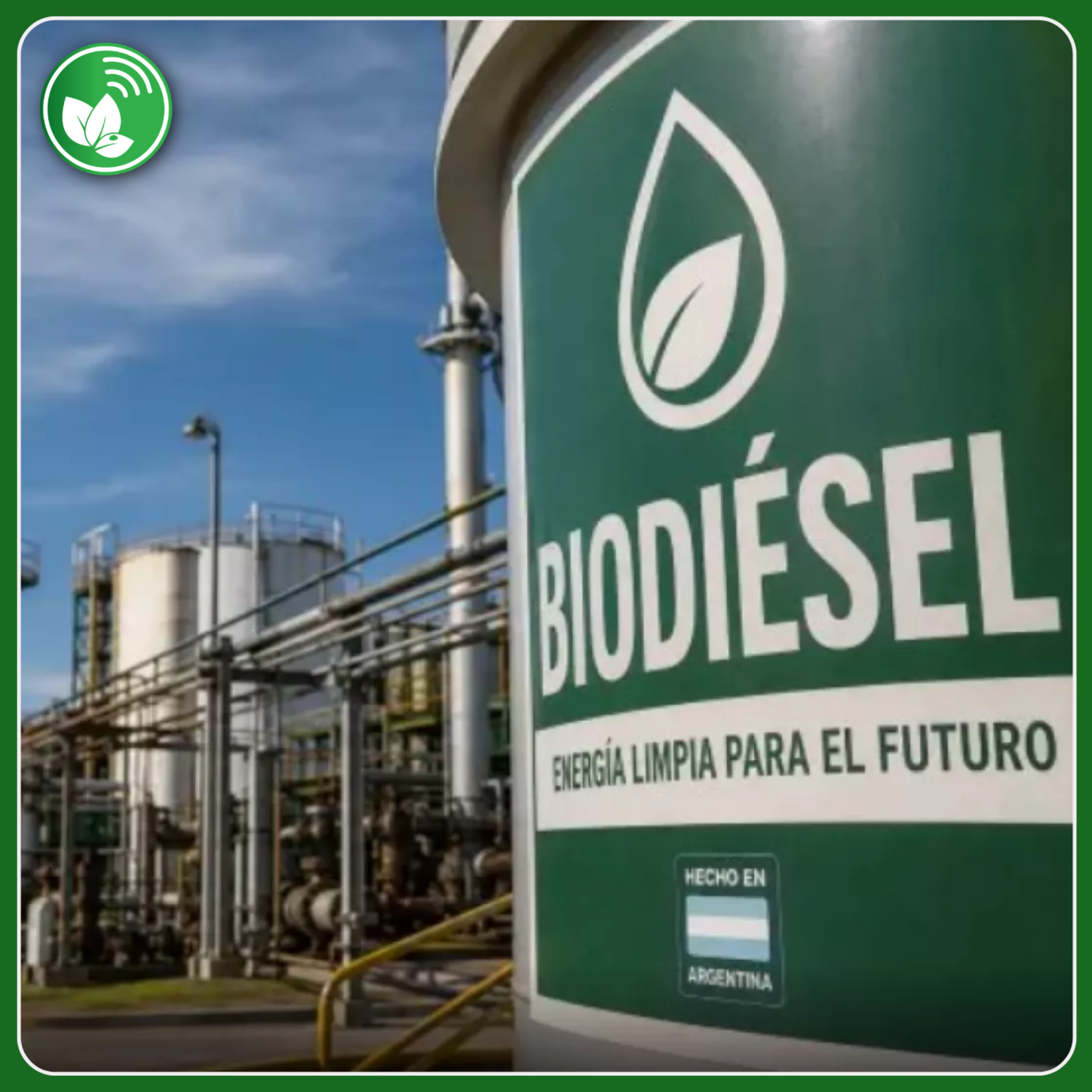 Portada de Palabra de Campo