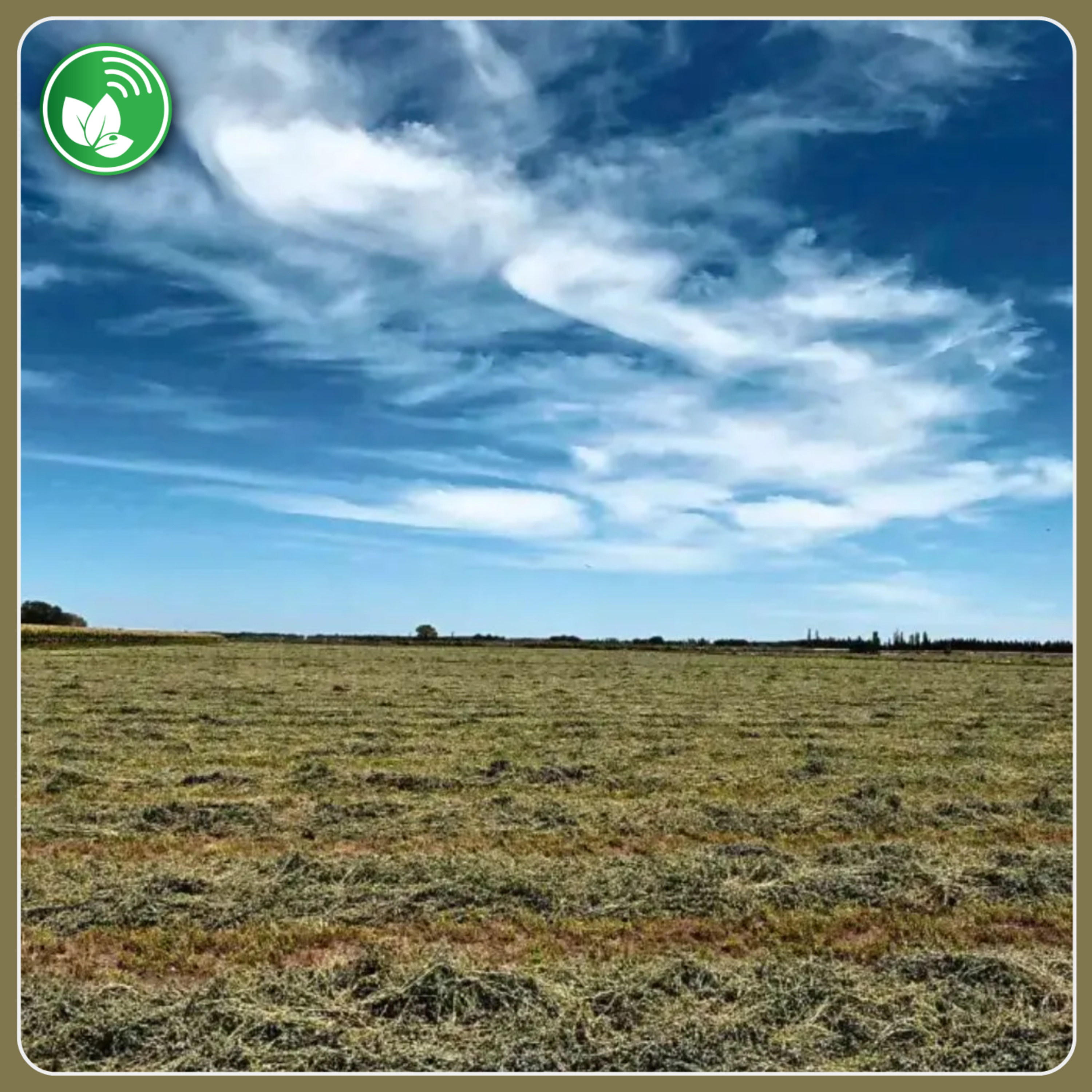 Portada de Palabra de Campo
