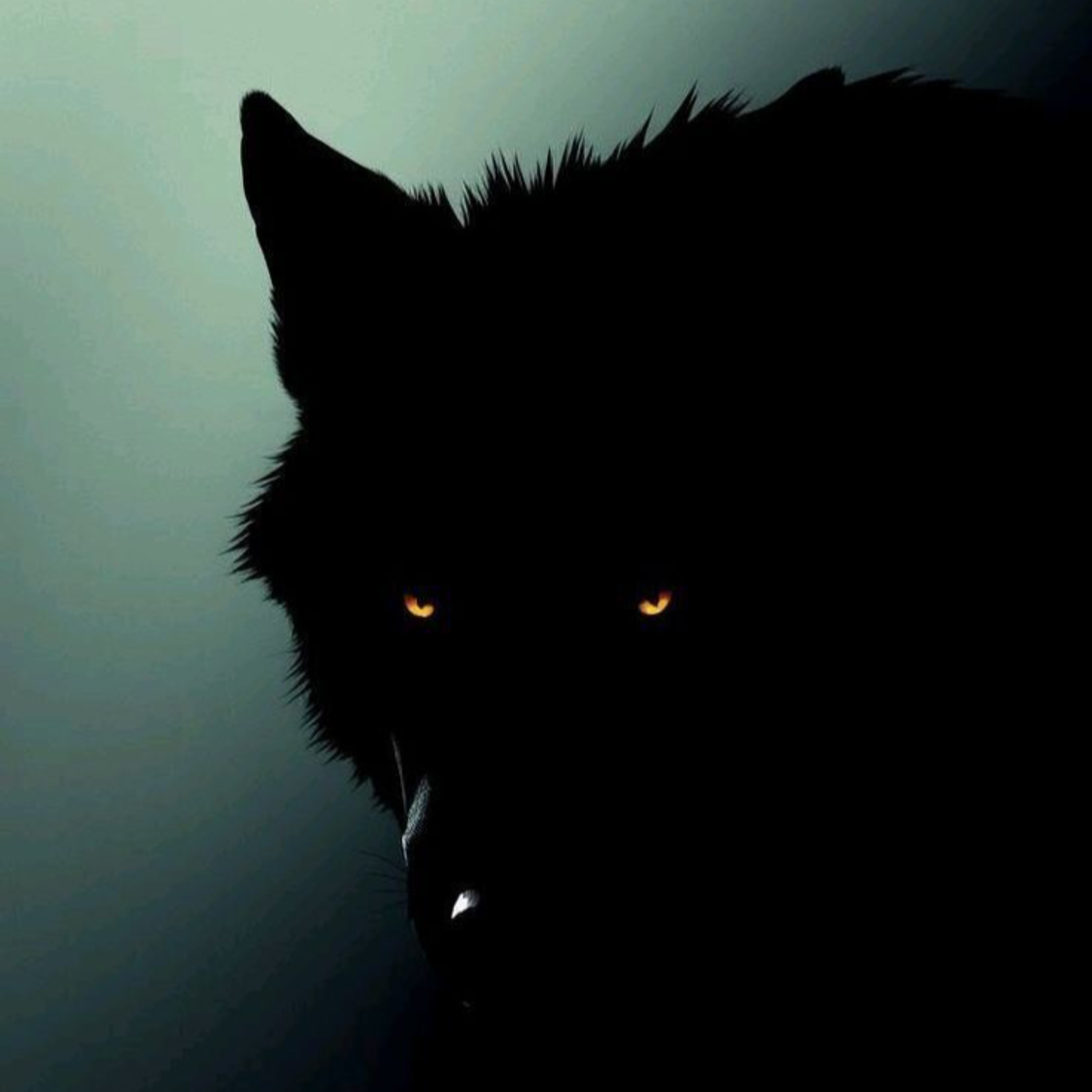 #91 - Como lobos explicam a máquina humana episode artwork