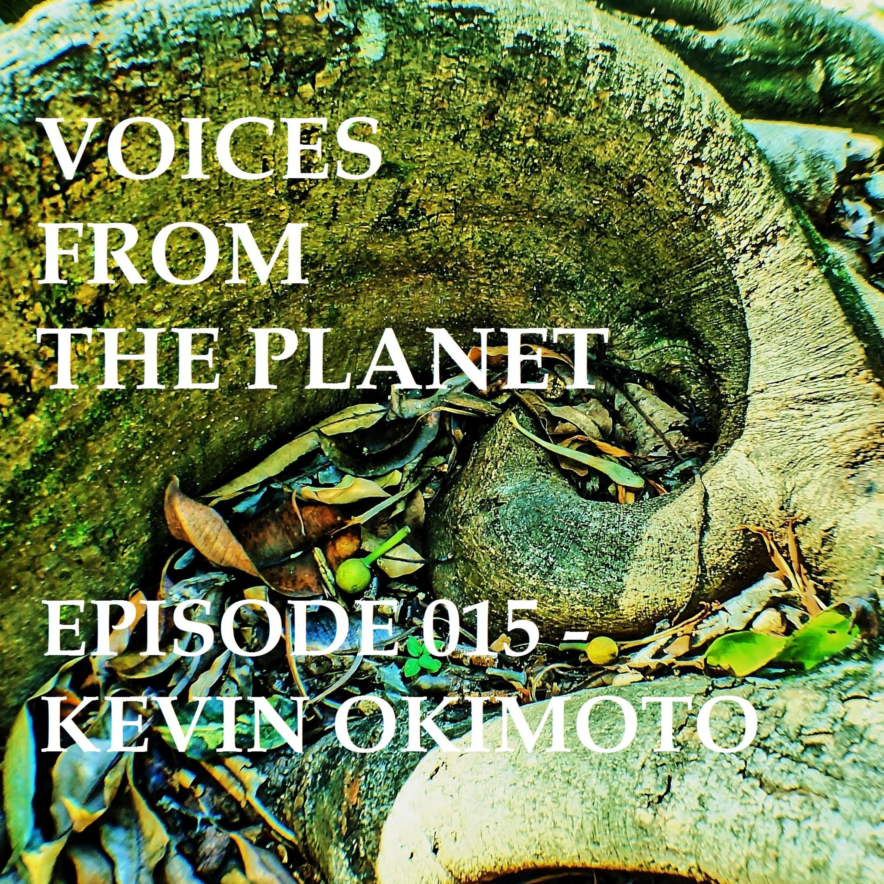 Episode 015 Kevin Okimoto (Musician) episode artwork