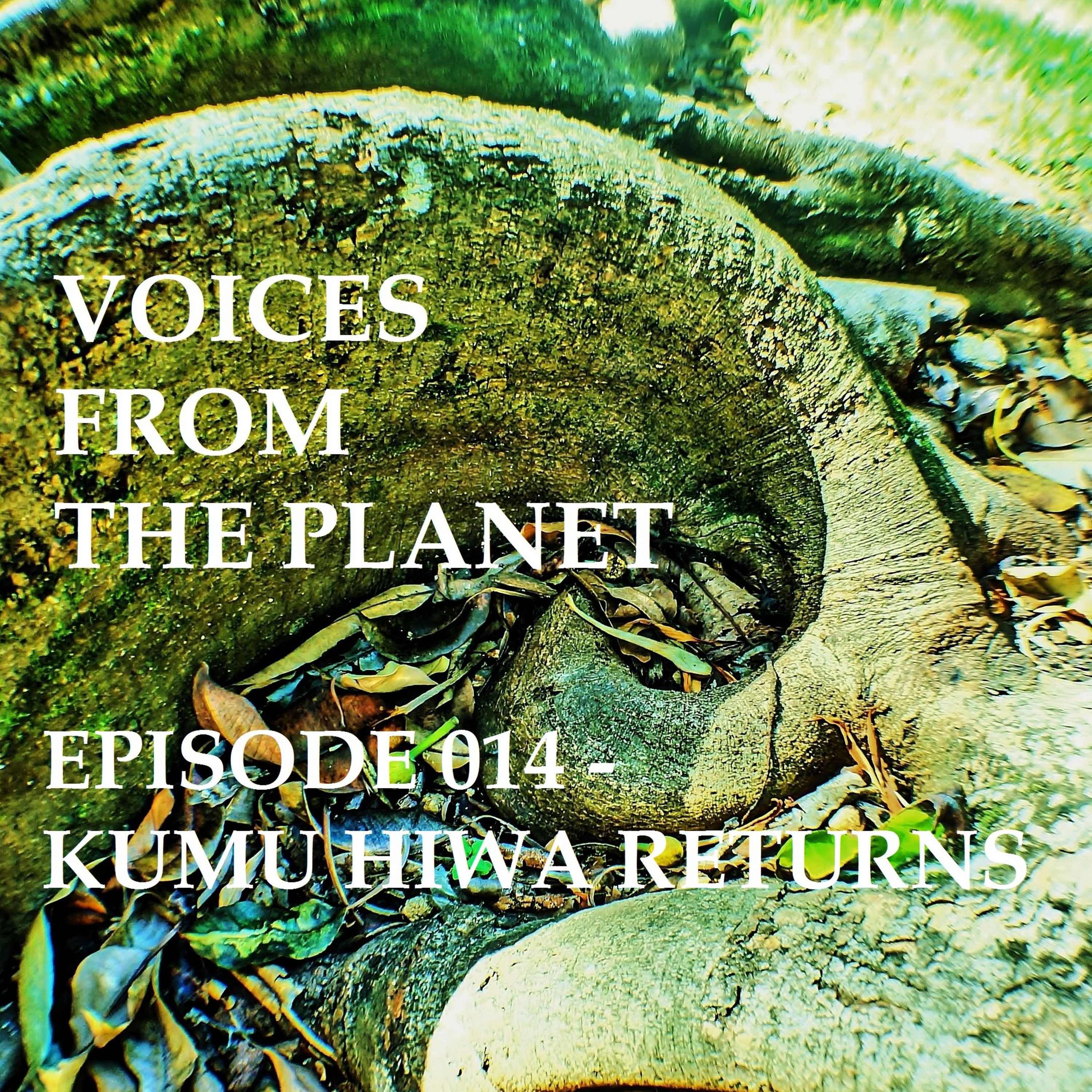 Episode 014 Kumu Hiwa Returns