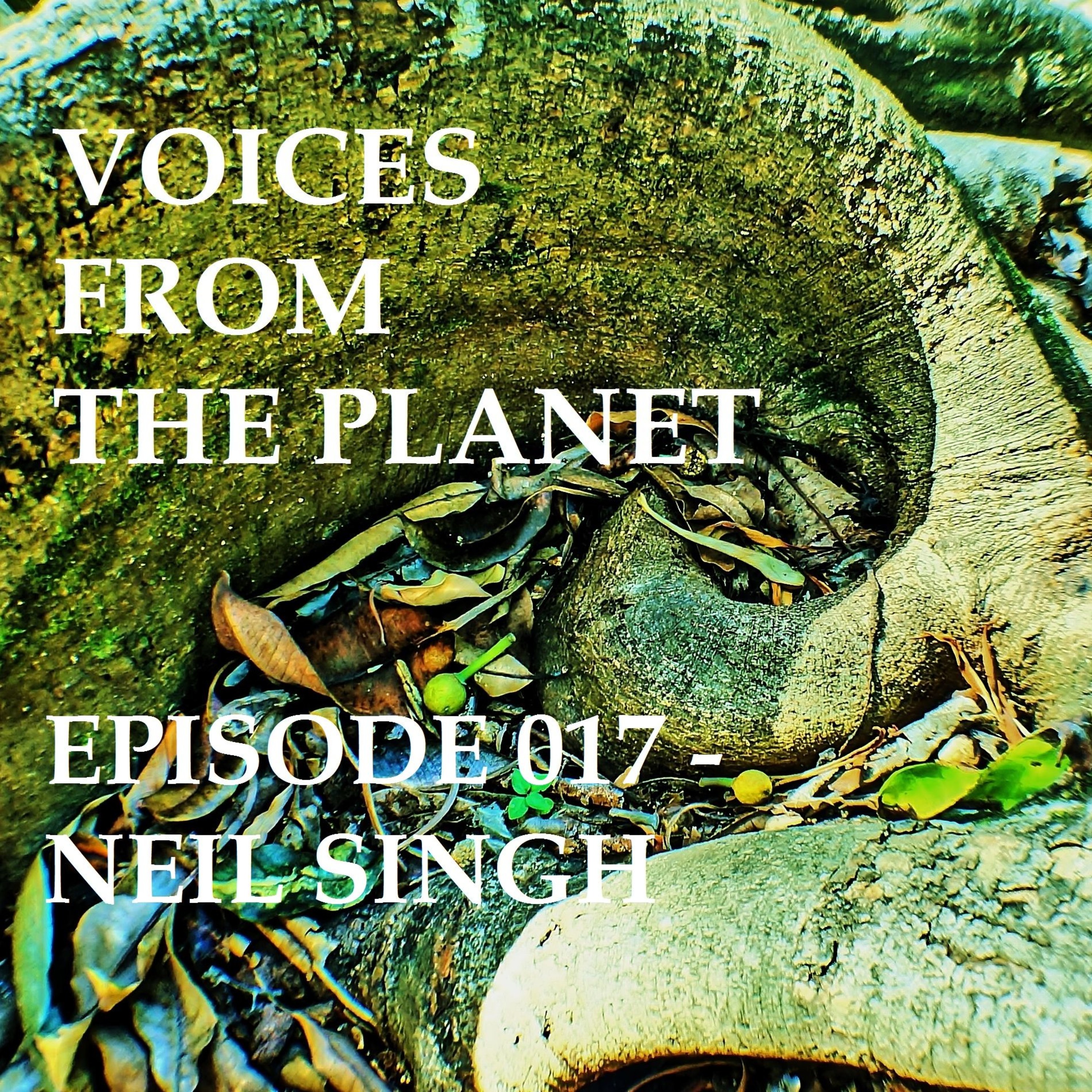 Episode 017  Neil Singh (Comedian/Brother-in-law)