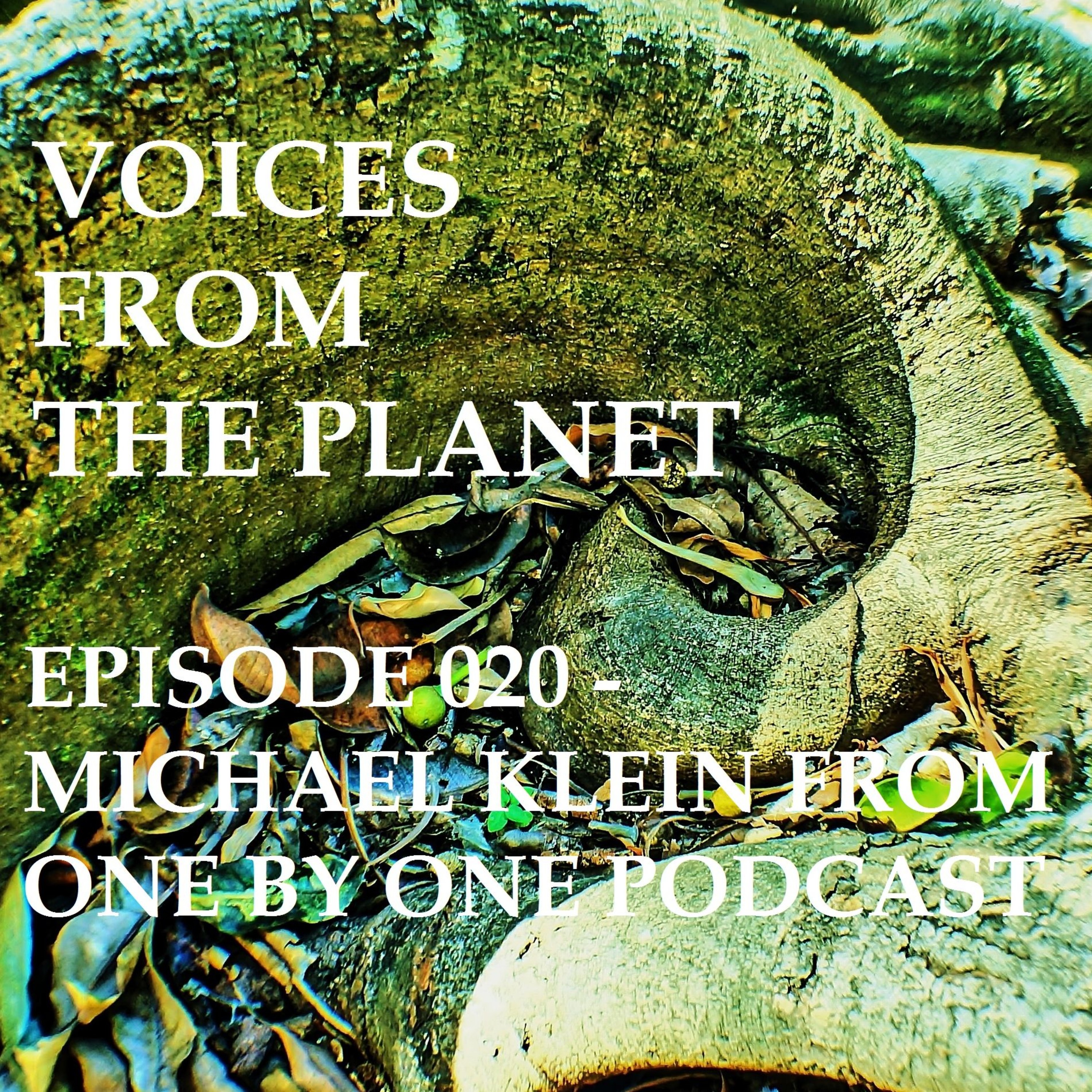 Episode  020  Michael Klein From One By One Podcast (Podcast Host, Musician, Graphic Designer) episode artwork