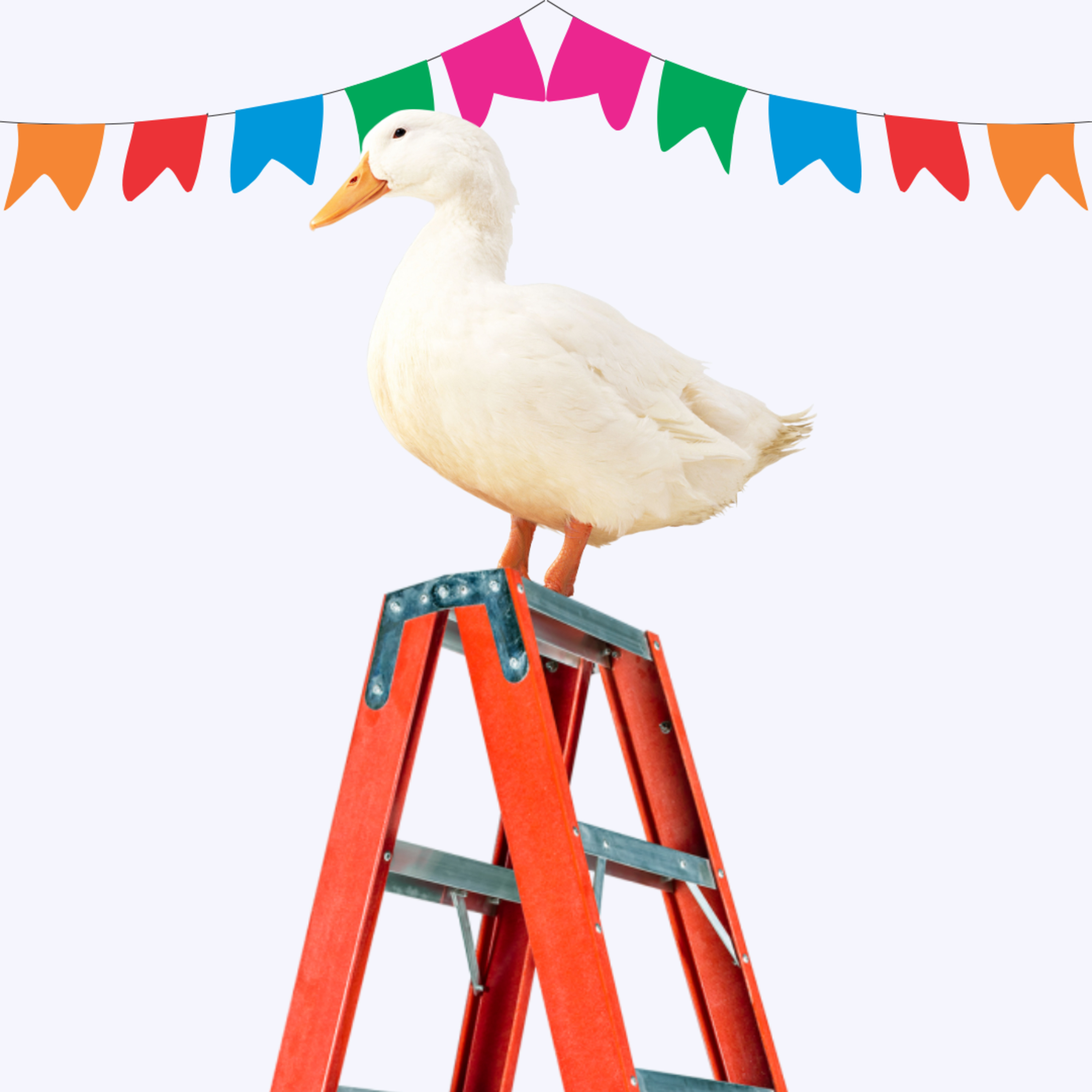 pato escada podcast