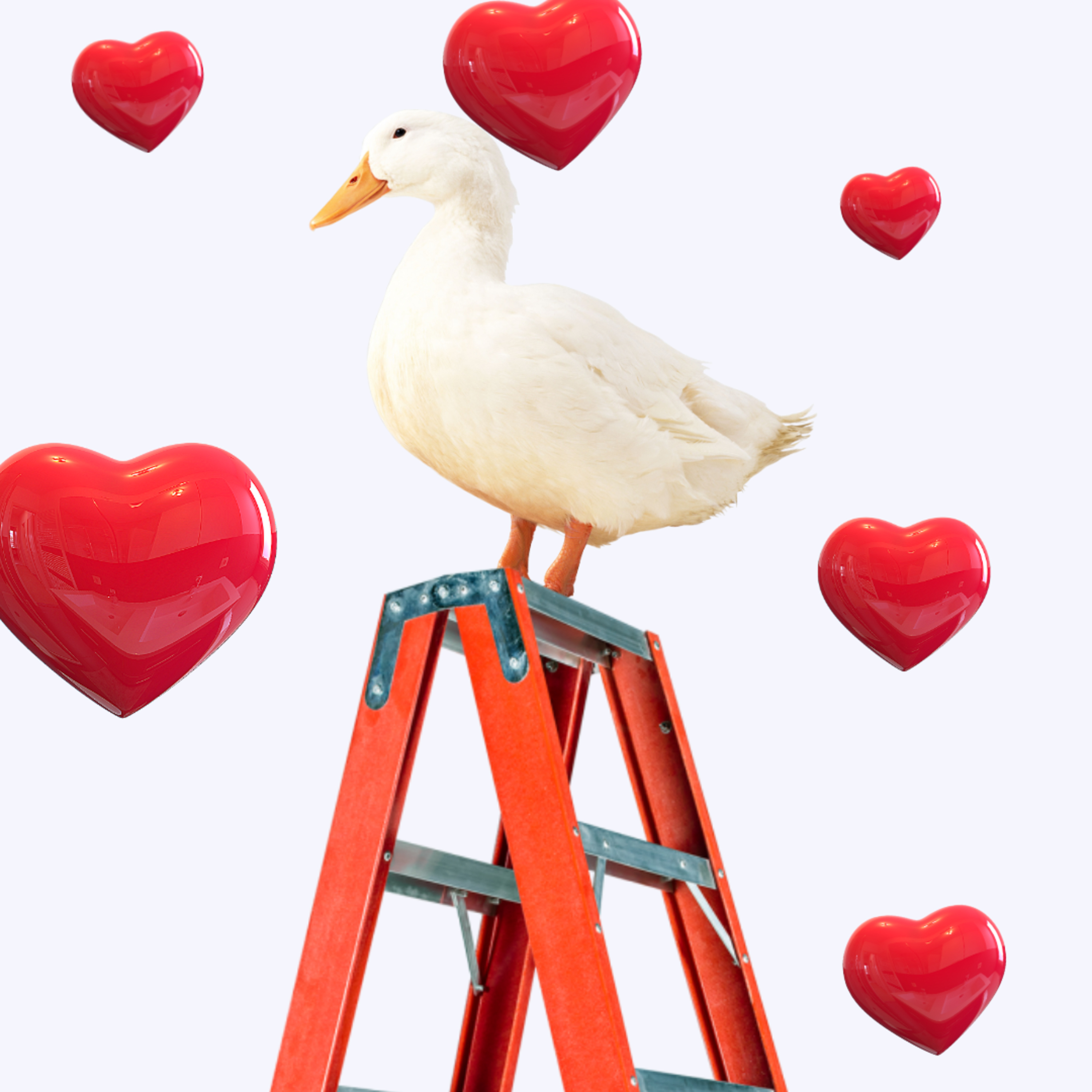 pato escada podcast