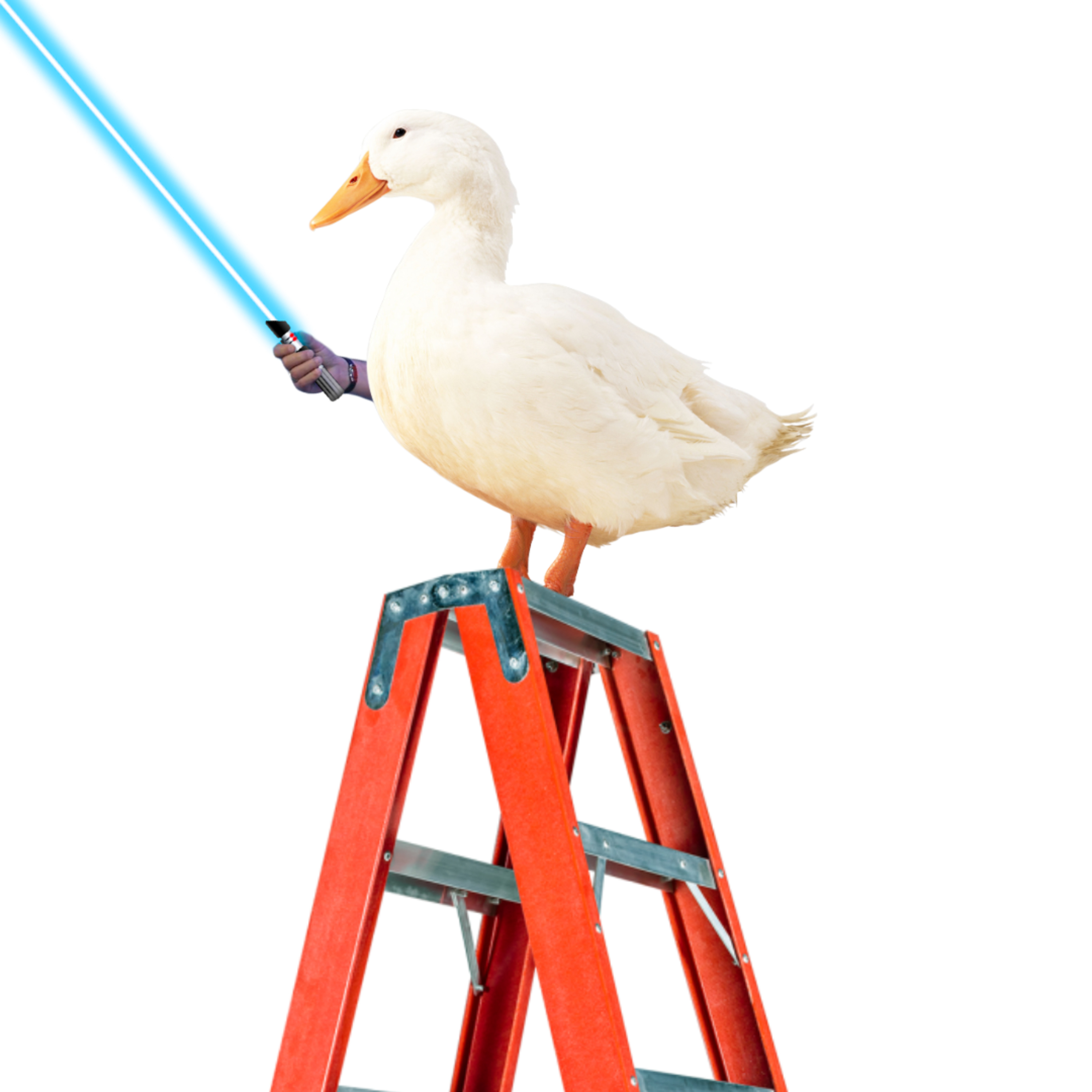 pato escada podcast