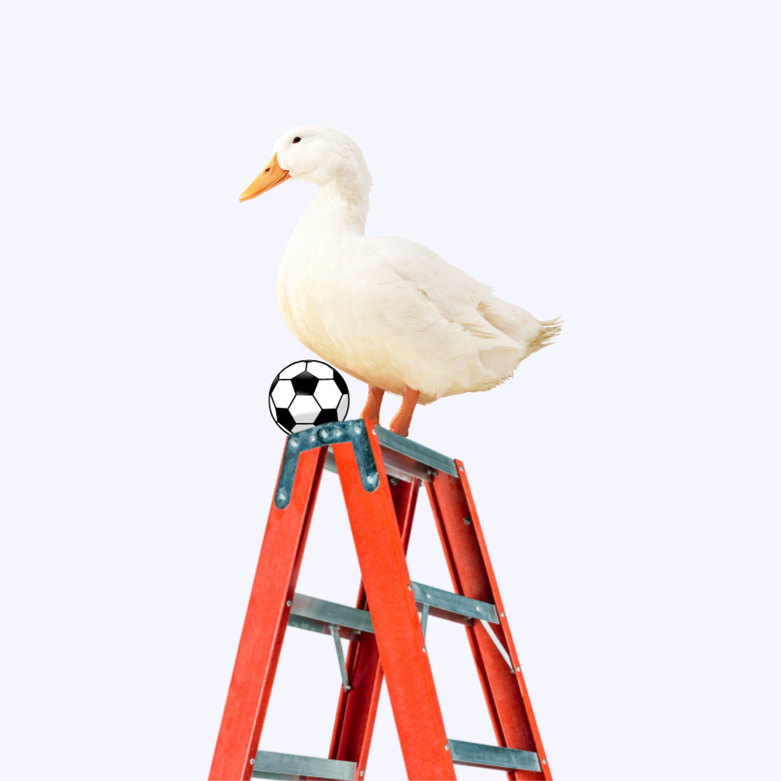 pato escada podcast