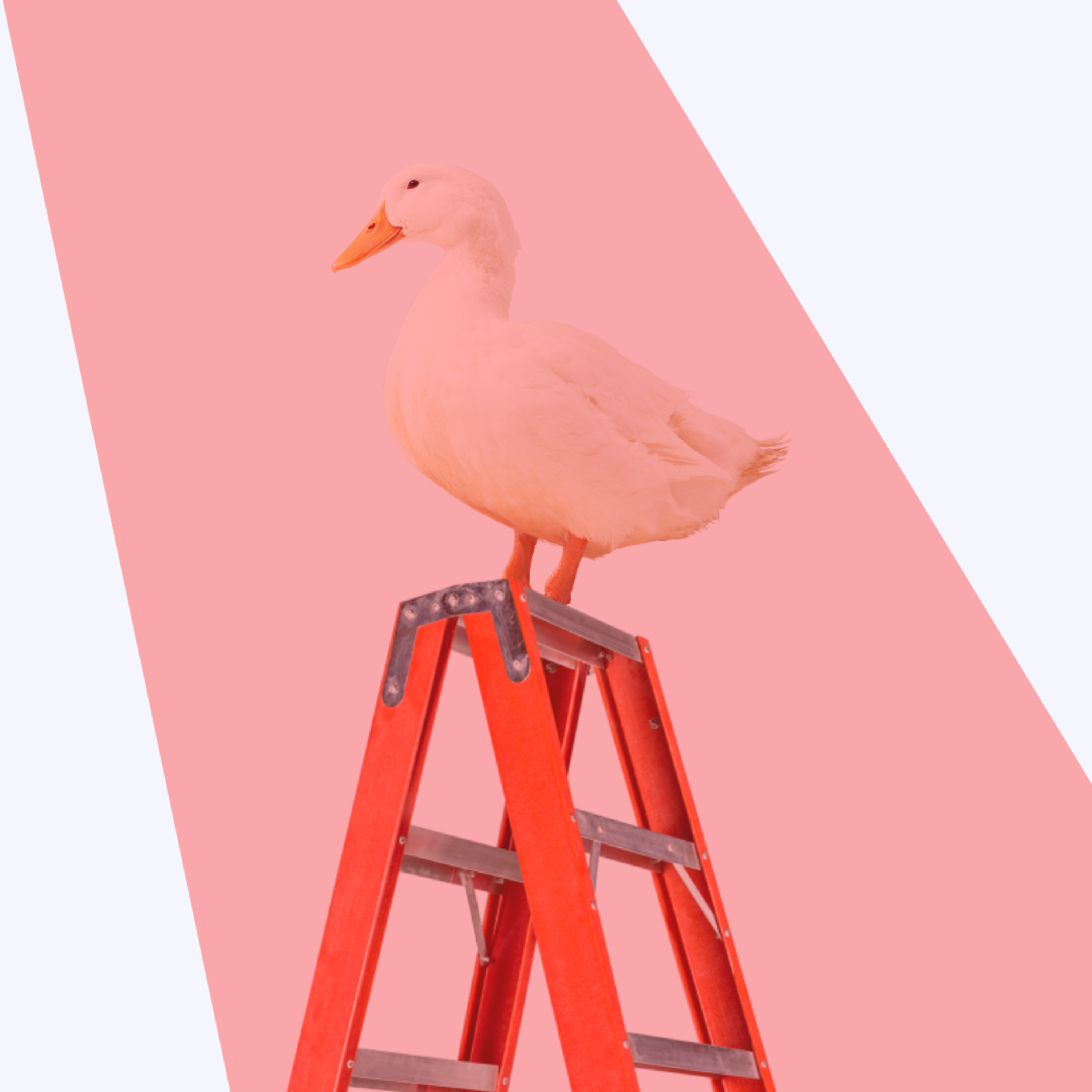 pato escada podcast