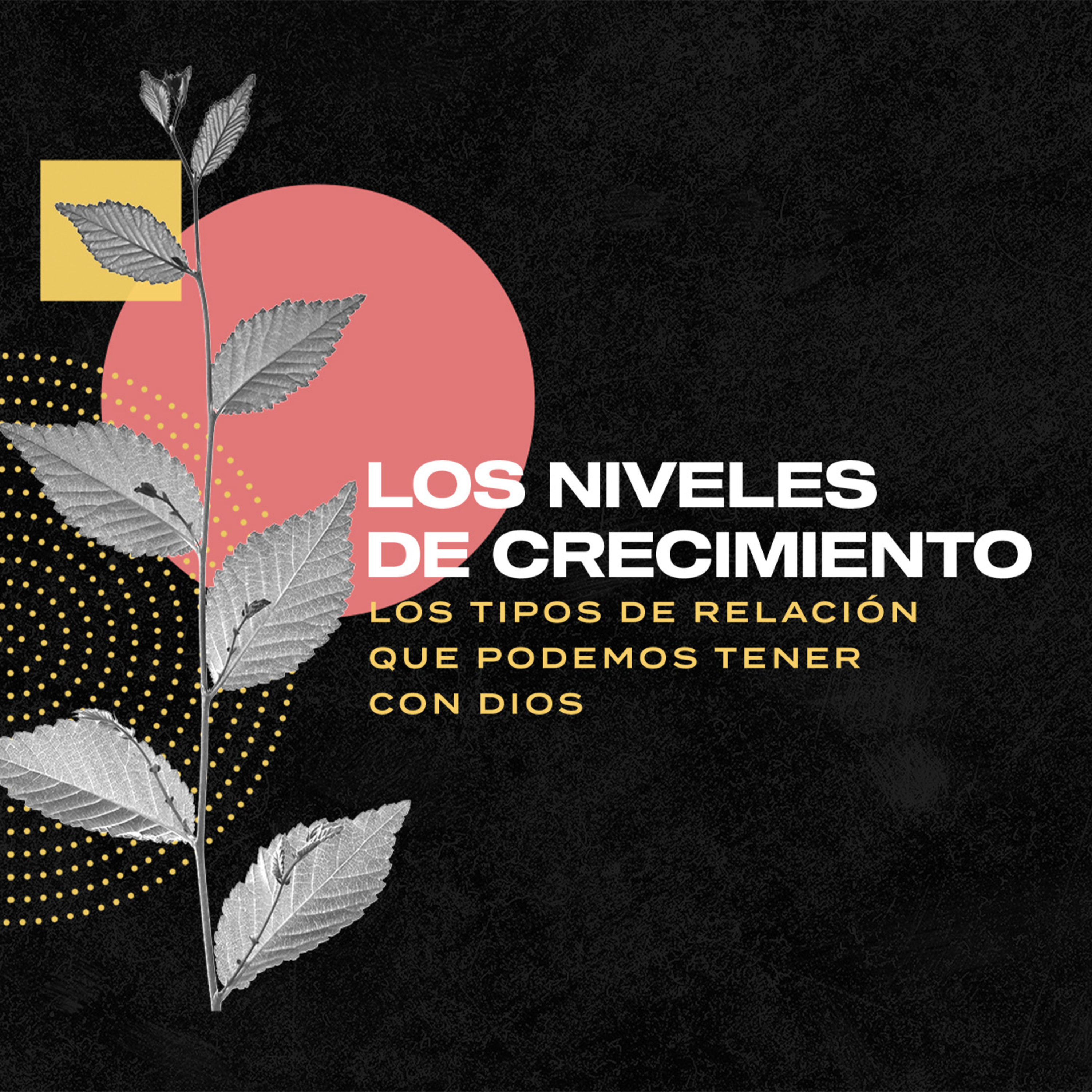 Dios quiere que crezcas espiritualmente | ¿Qué tipo de relación deseas tener con Dios?