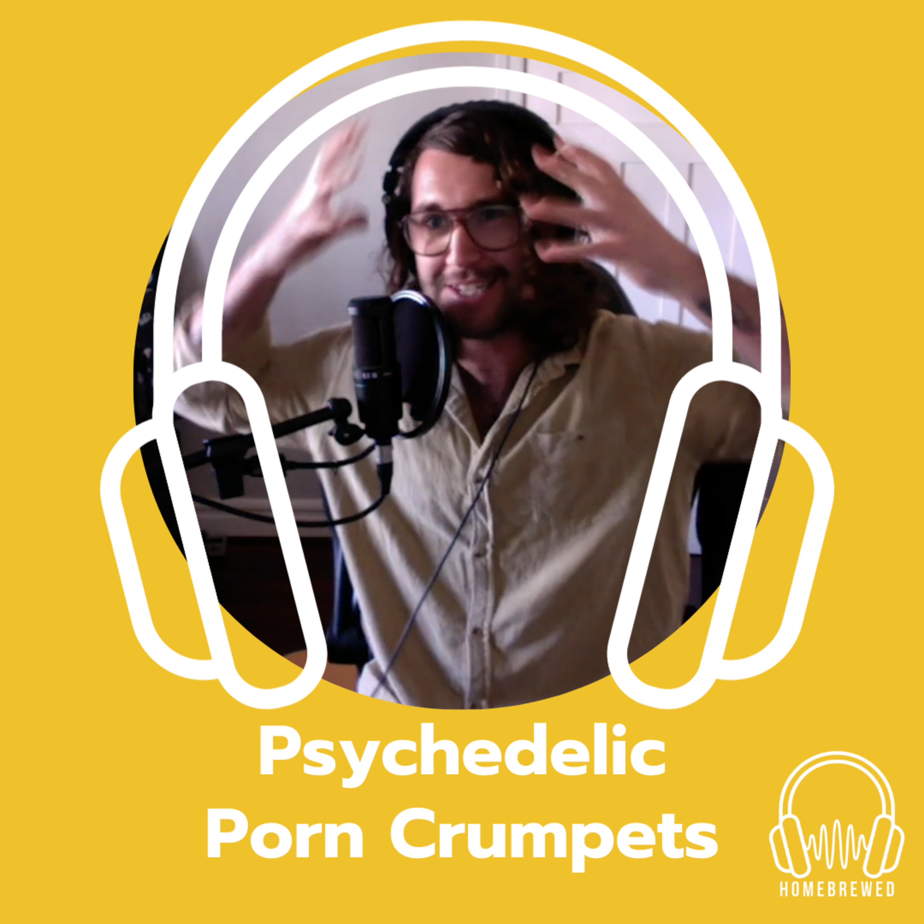 Psychedelic Porn Crumpets Interview III