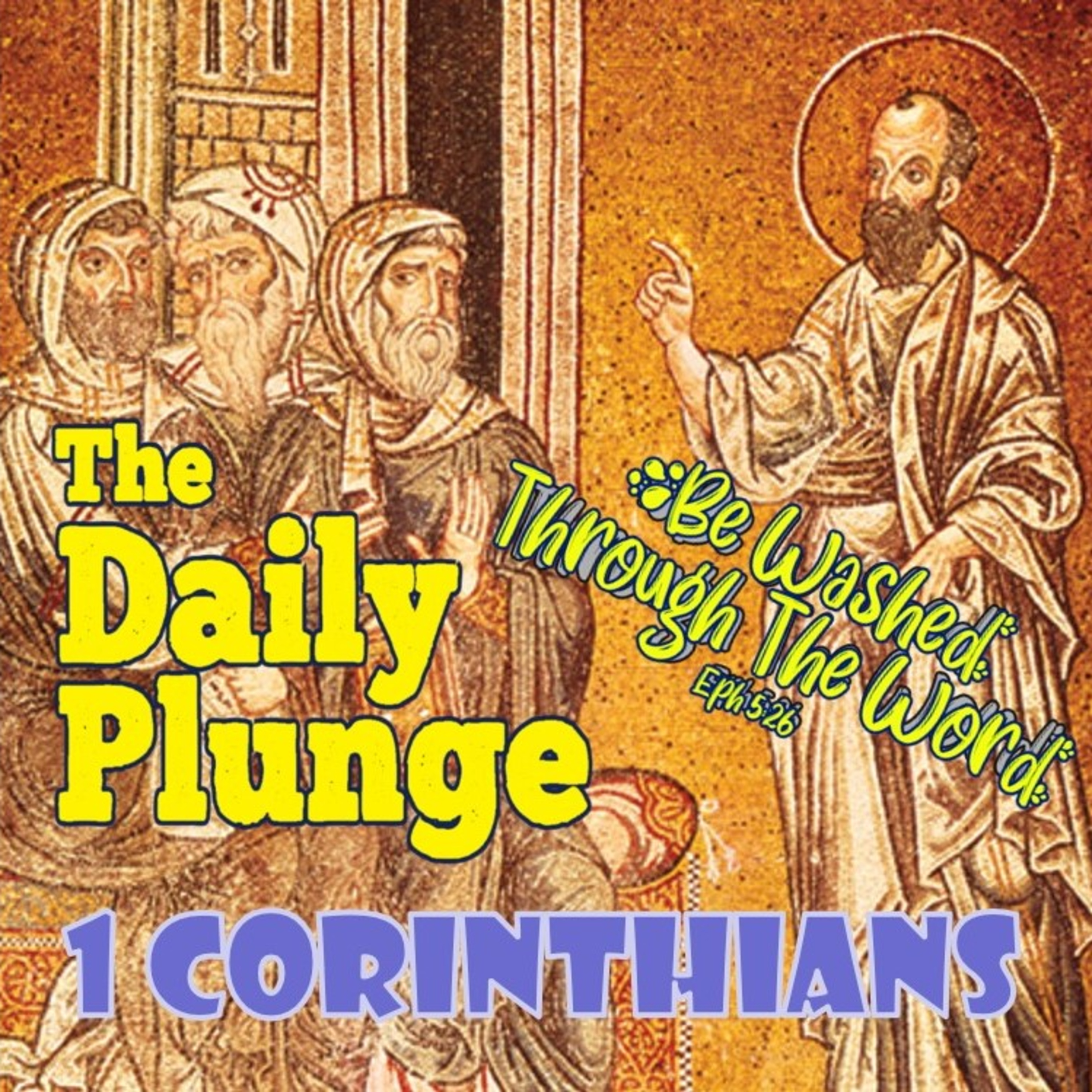 The Daily Plunge!