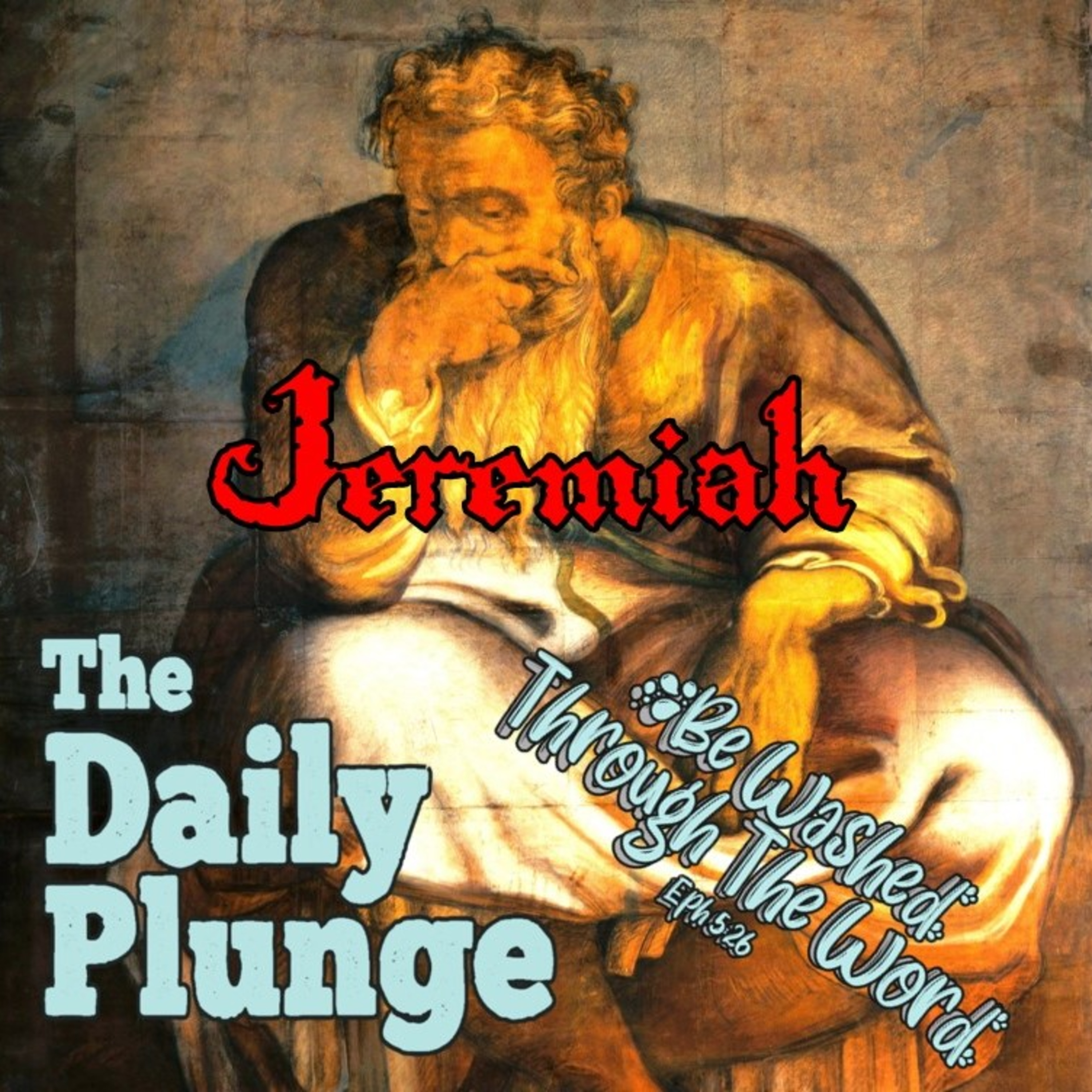 The Daily Plunge!