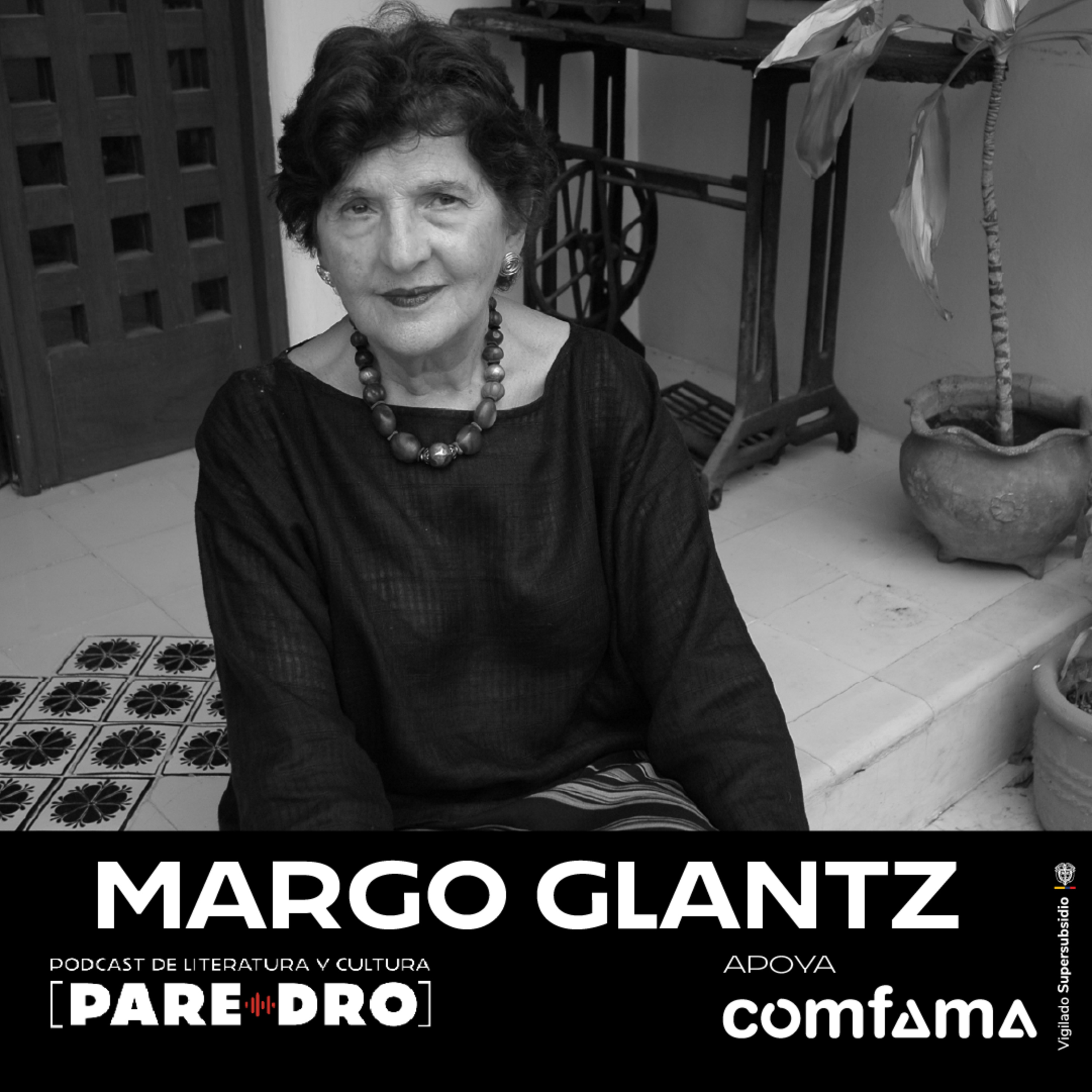 T11 E12 Margo Glantz, "Saña" episode artwork