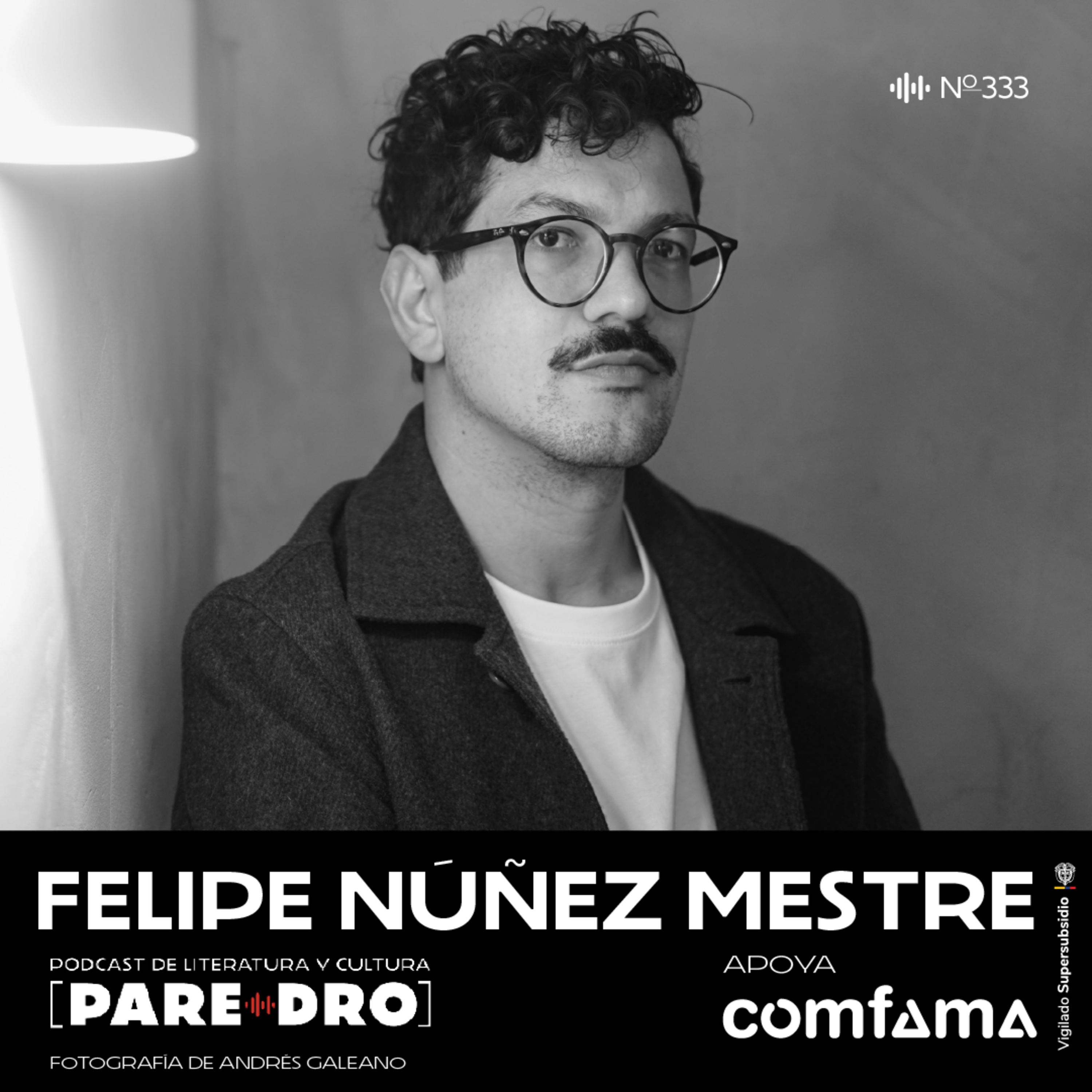 Felipe Núñez: "Querido muerto mío", soldados y memoria del Caribe episode artwork