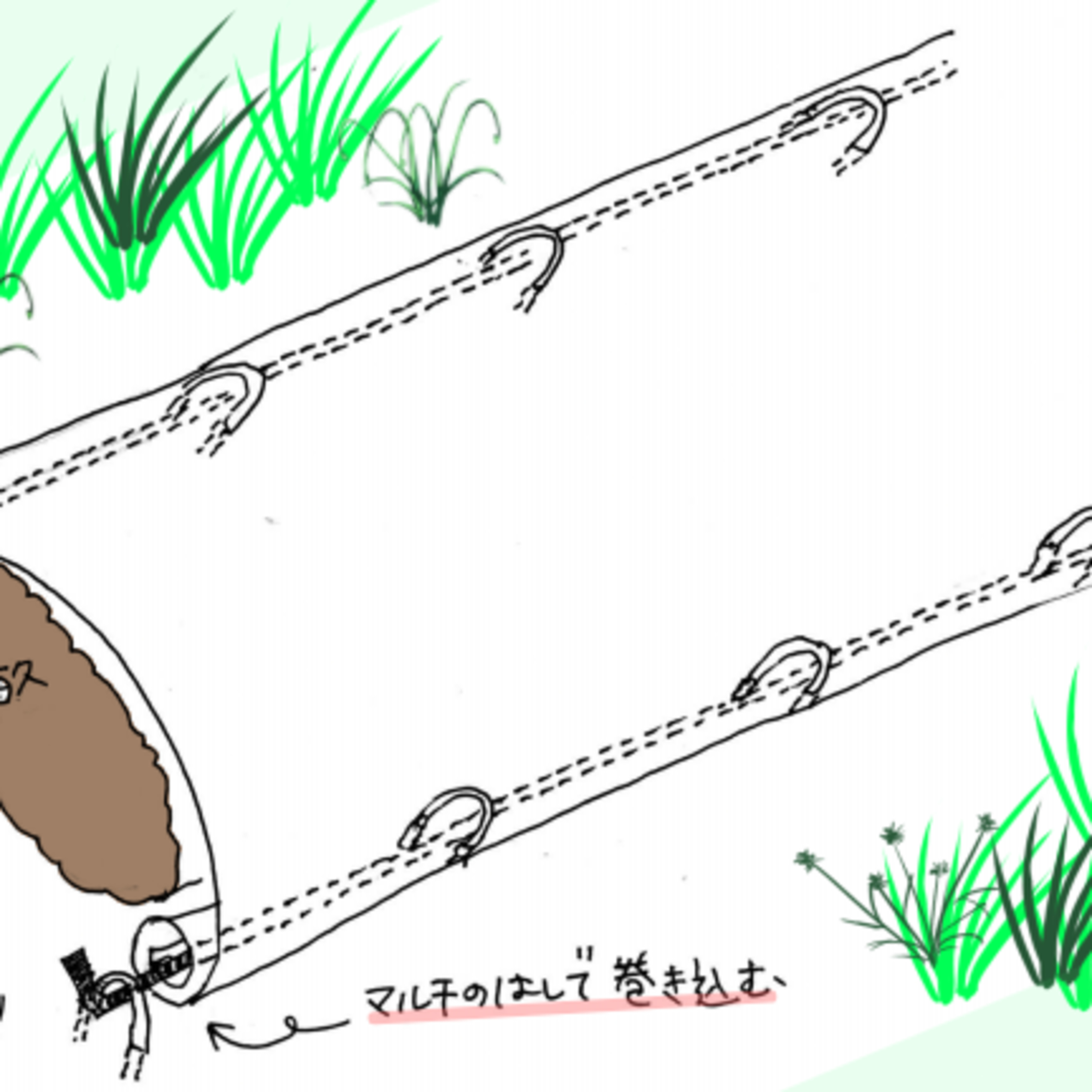#111　小さい畑の省力化術-3 episode artwork