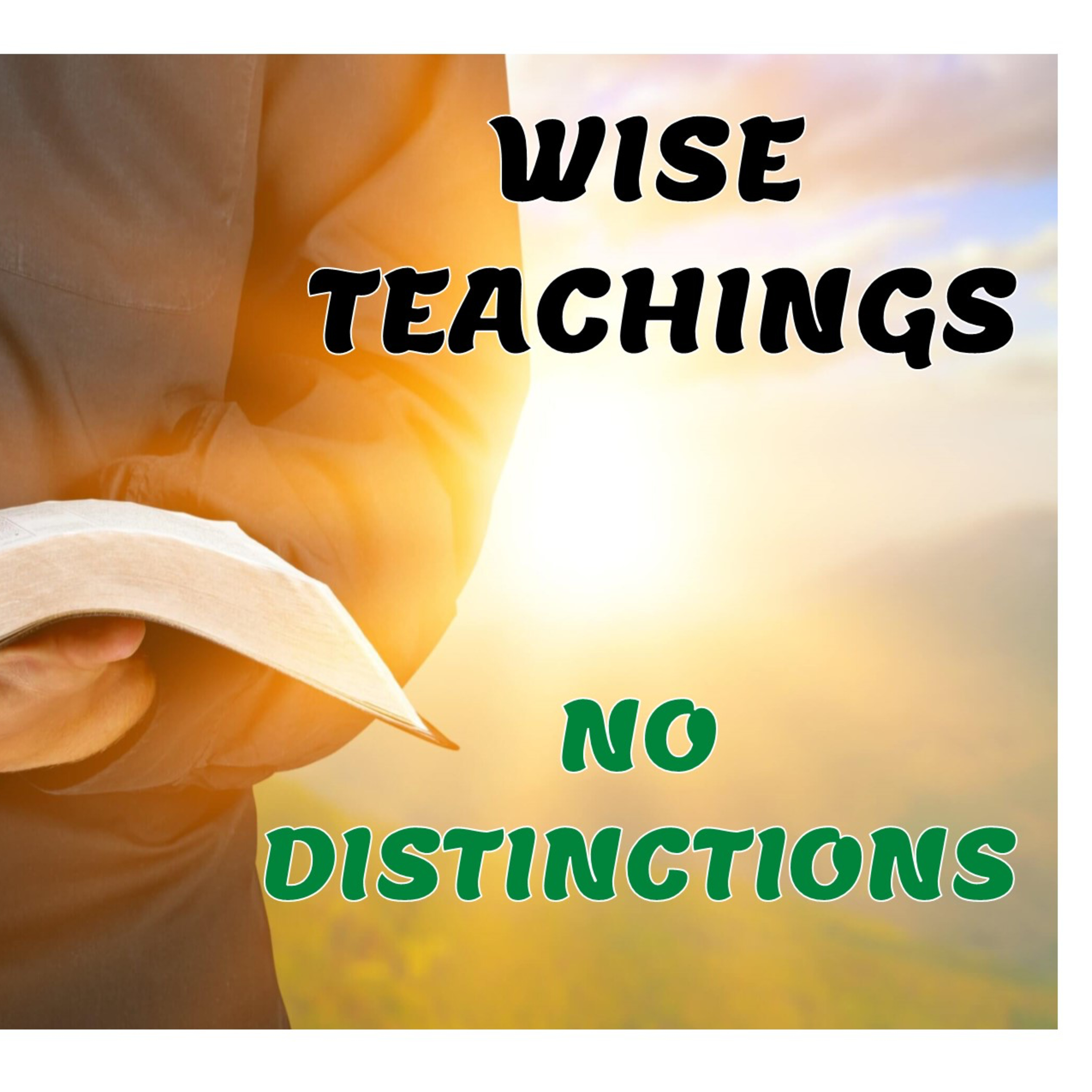 Wise Teachings: No Distinctions episode artwork