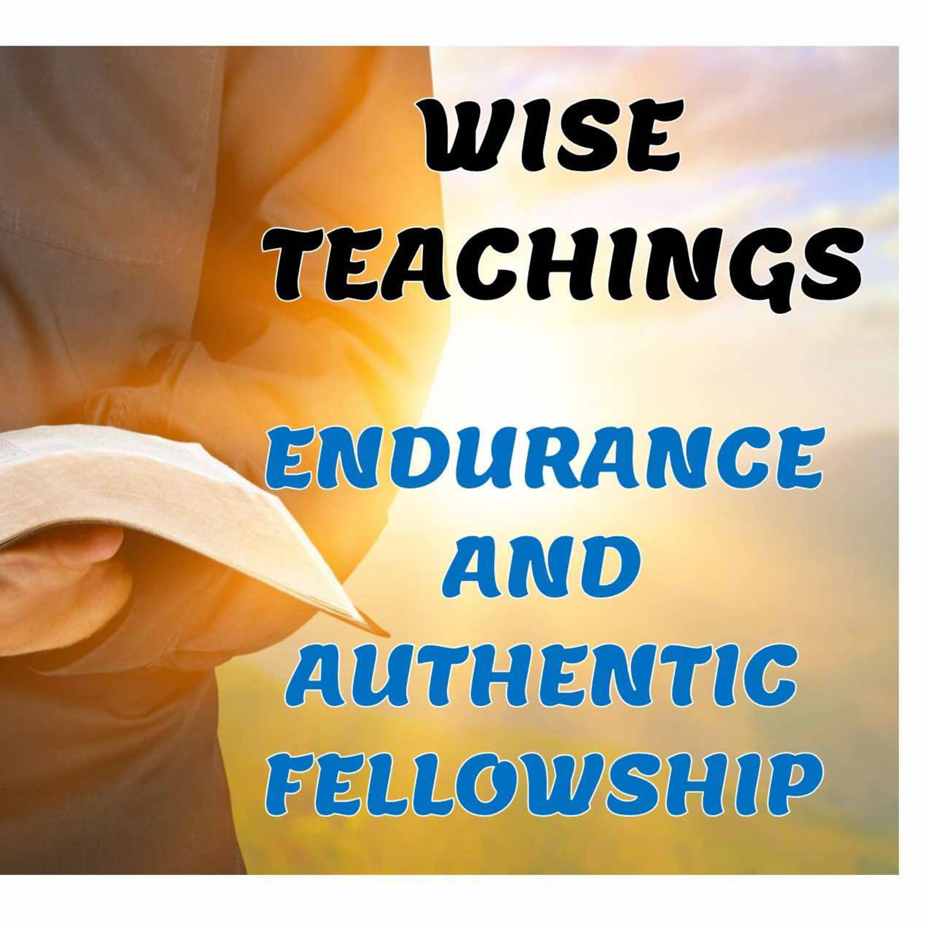 Wise Teachings: Endurance and Authentic Fellowship episode artwork
