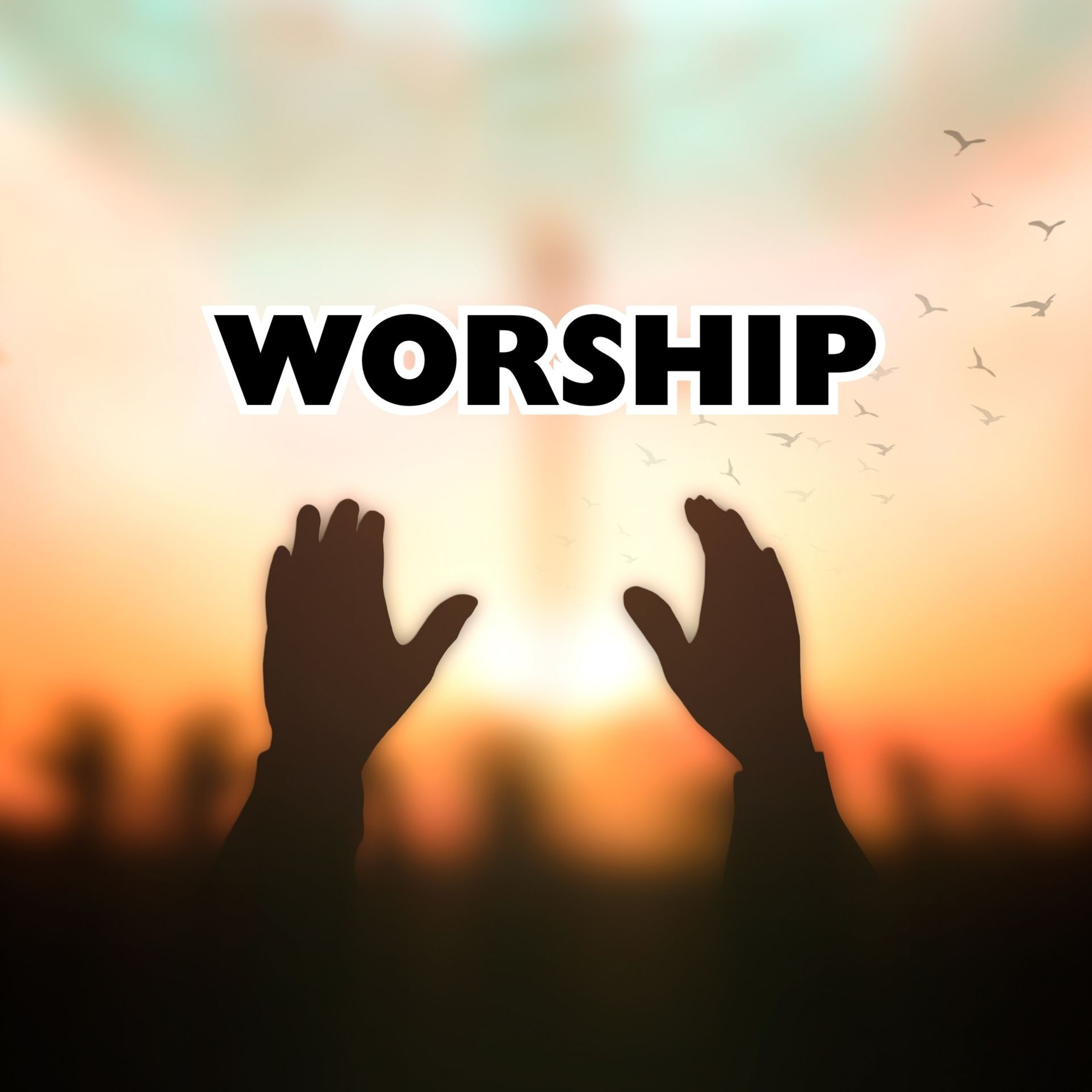 Worship episode artwork