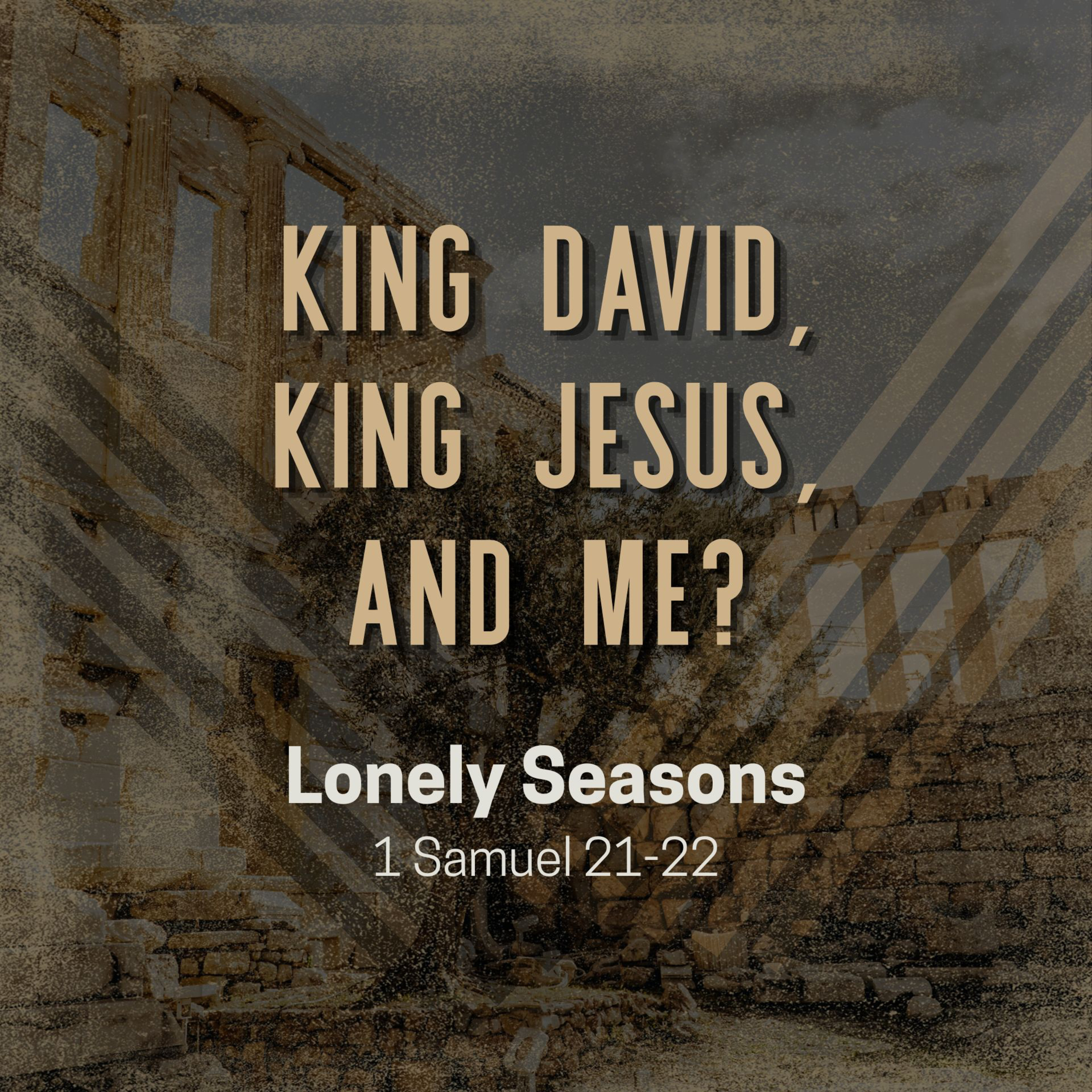 King David, King Jesus, and Me? Lonely Seasons episode artwork