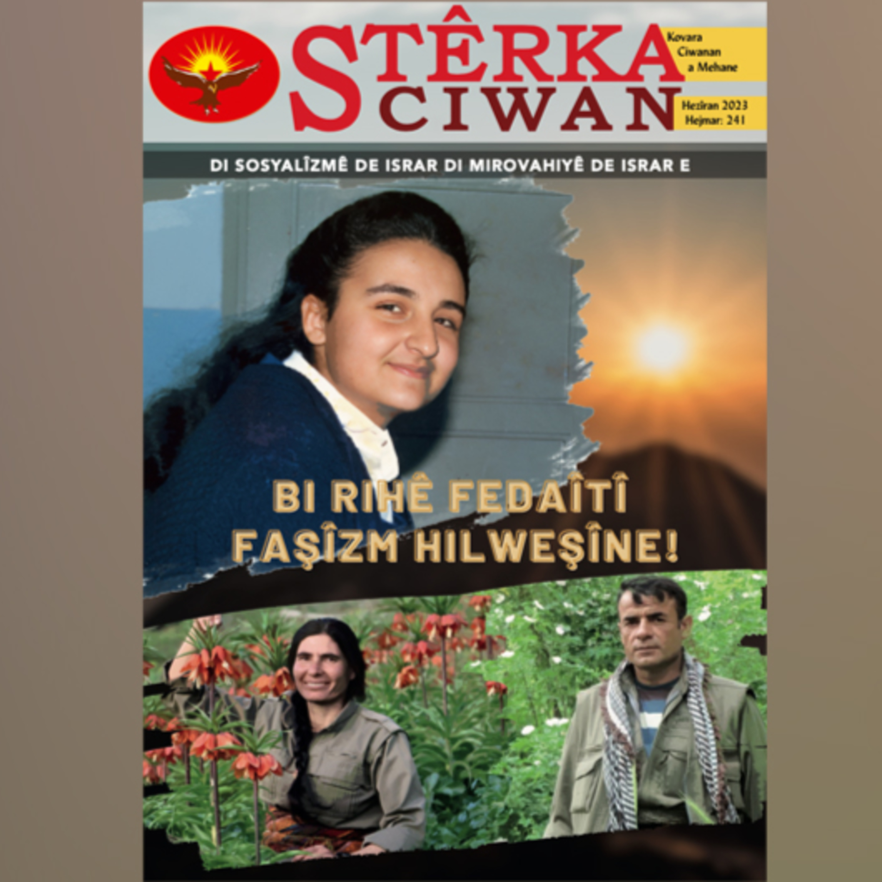 Stêrka Ciwan