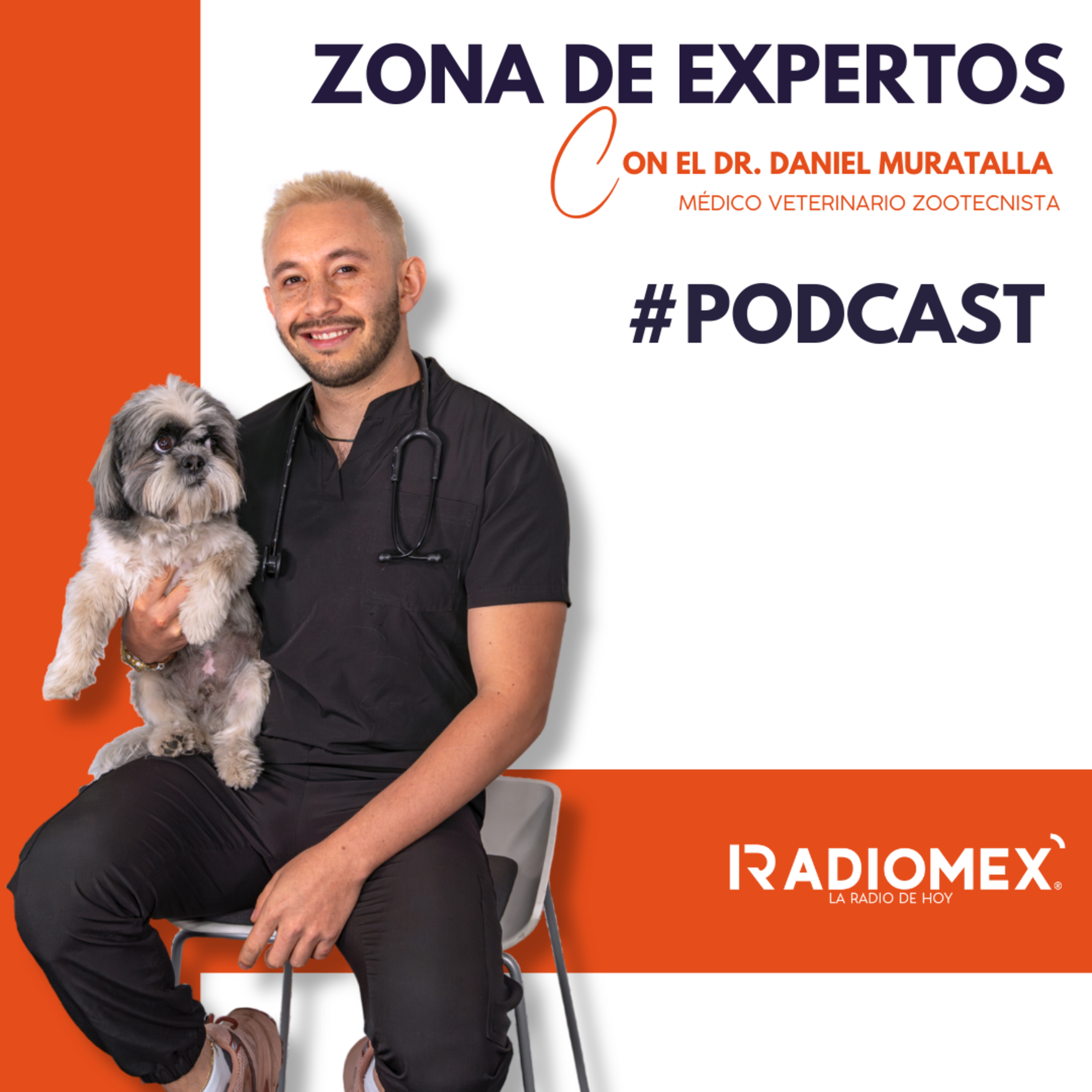 Cuando el problema no e la mascota... eres tú episode artwork