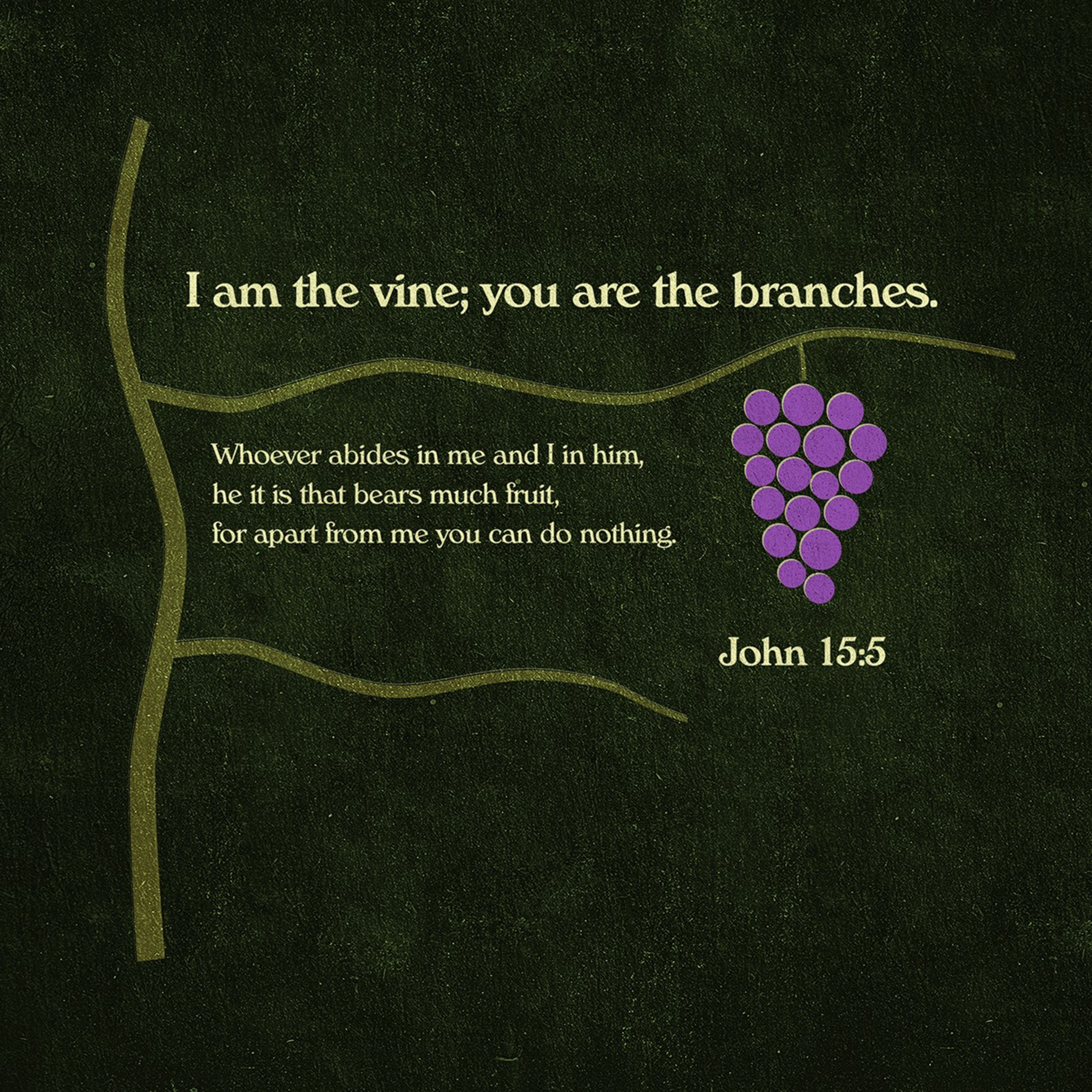 Ep. 49 John, Psalms and Deuteronomy episode artwork