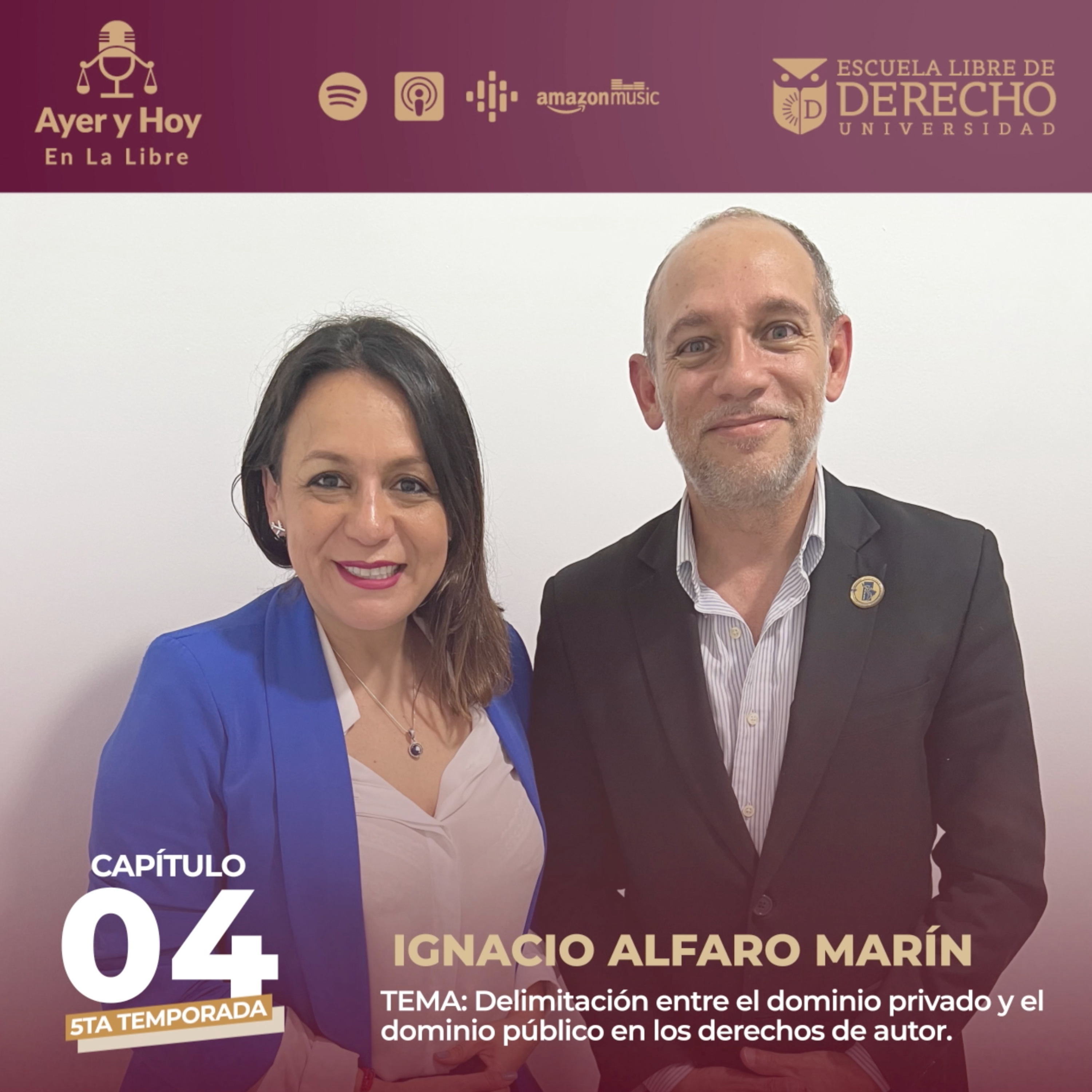 Delimitación entre el Dominio Privado y el Dominio Público en los Derechos de Autor.