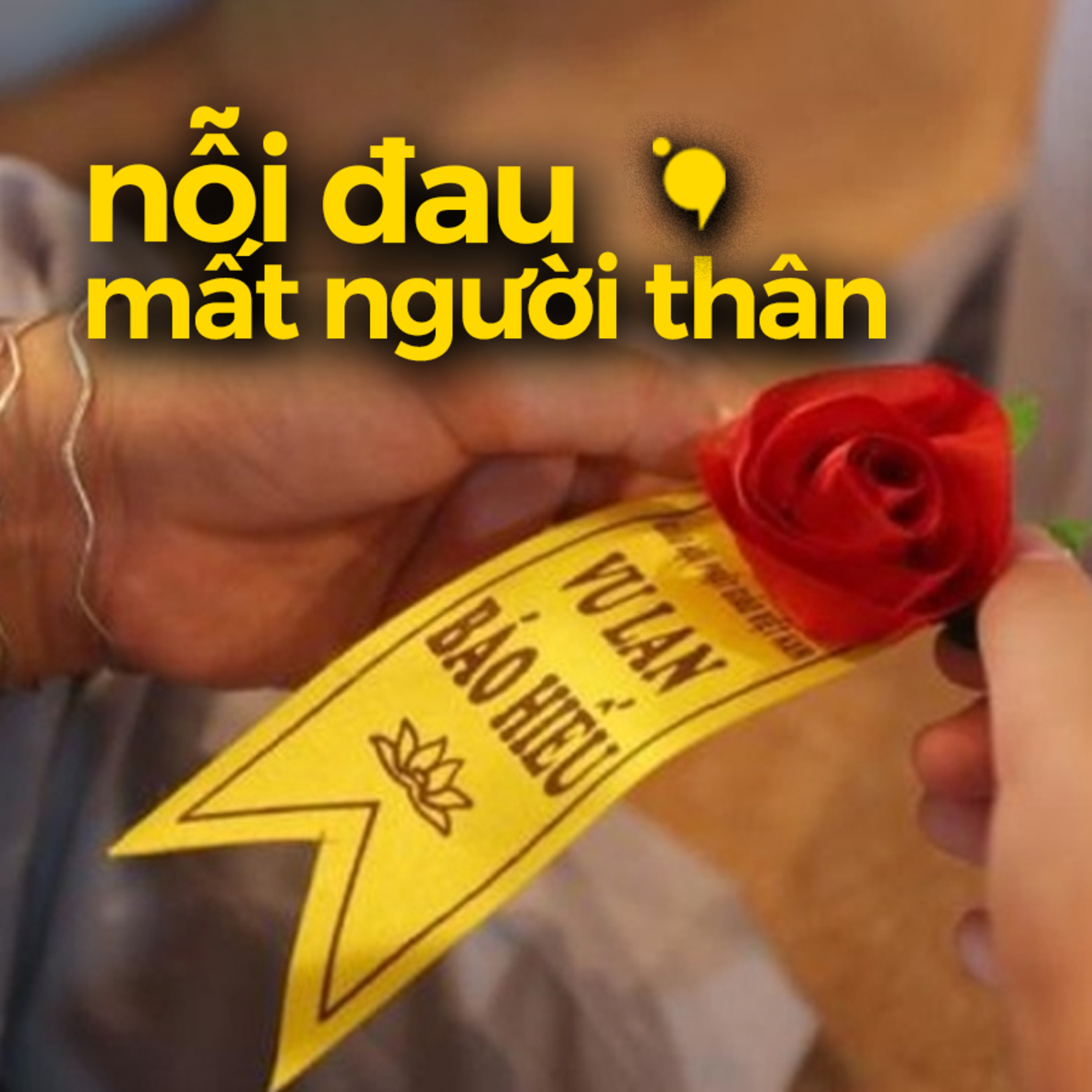 Đóa hoa hồng tôi cài trên ngực áo episode artwork