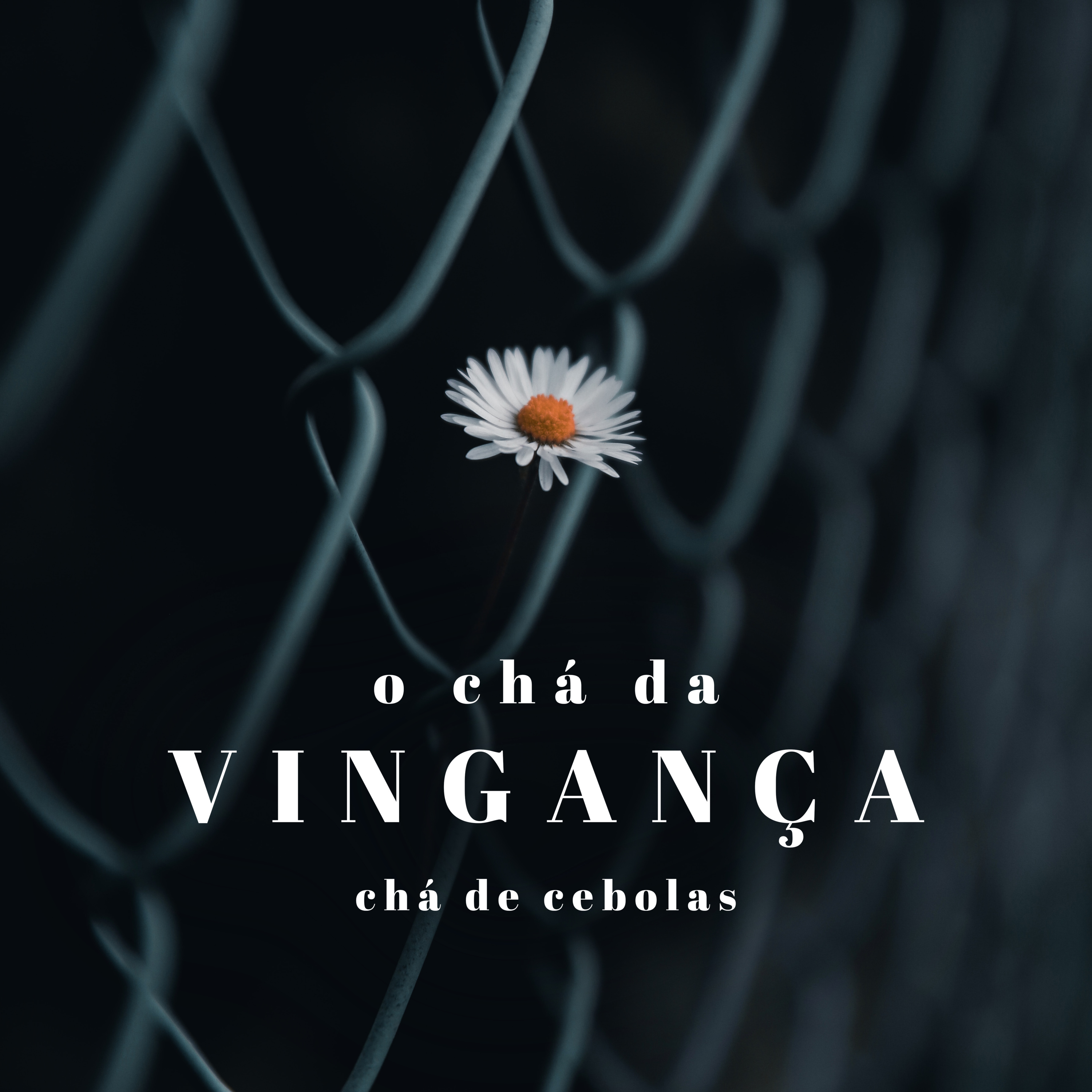 Chá de Cebolas