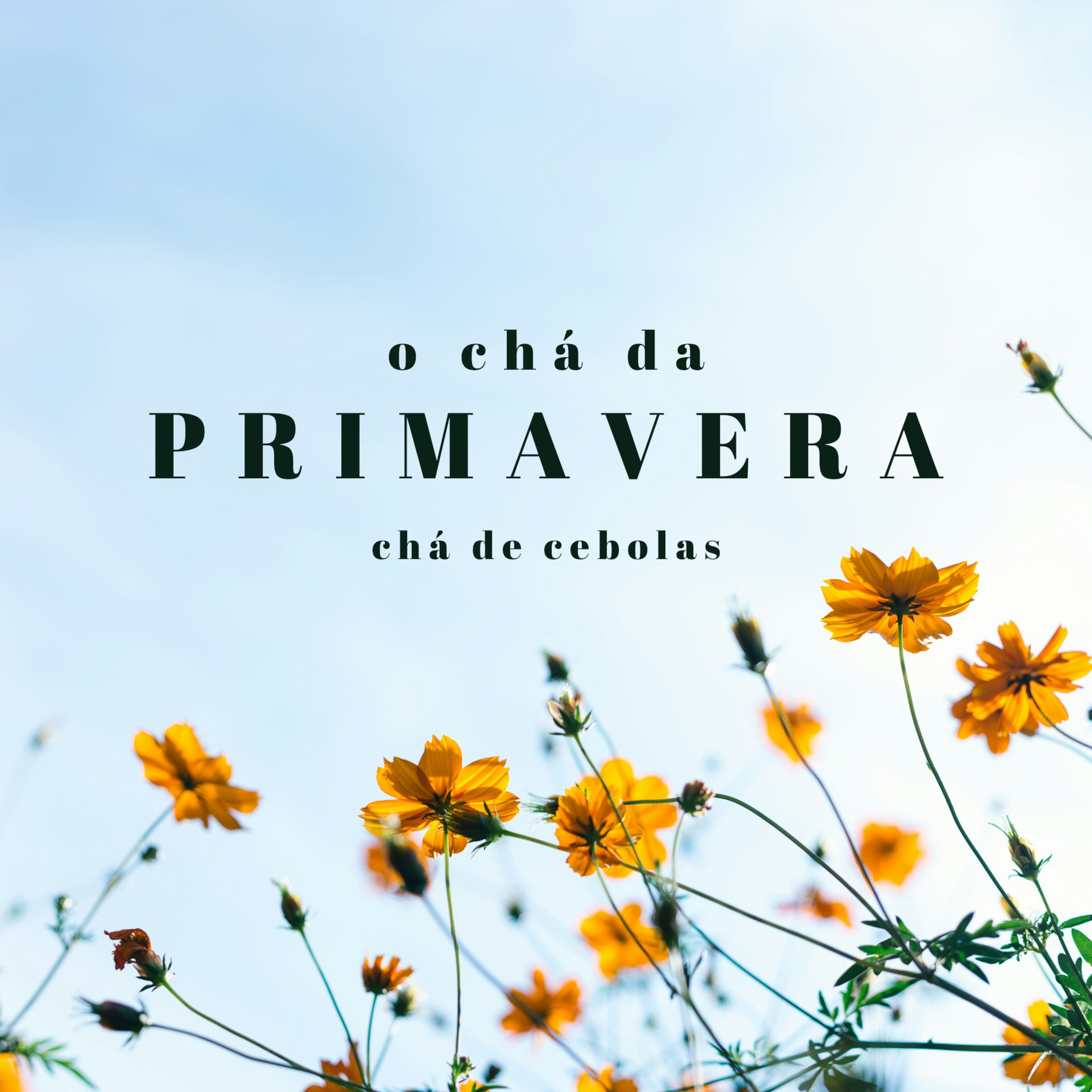 Chá de Cebolas