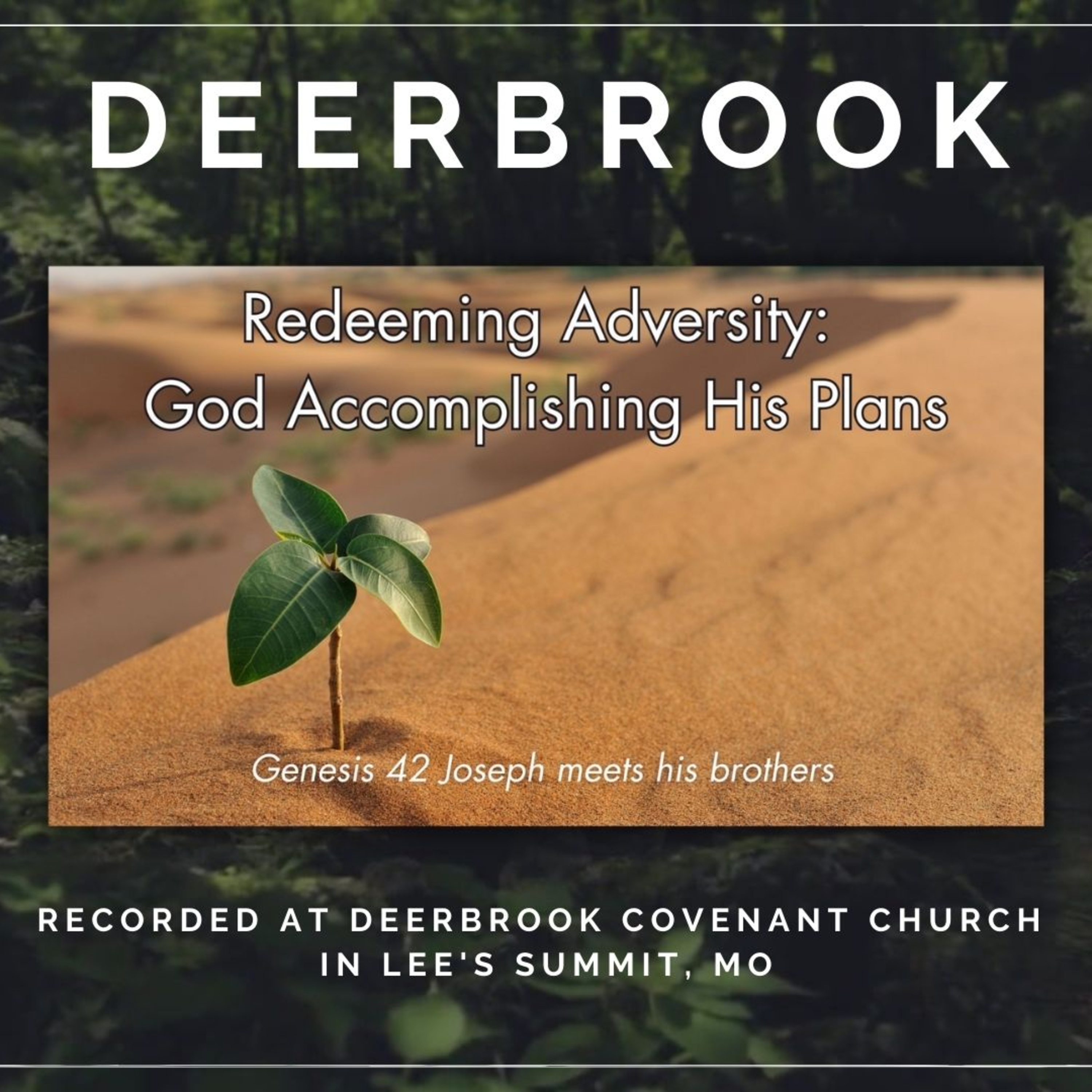 Redeeming Adversity: God Accomplishing His Plans