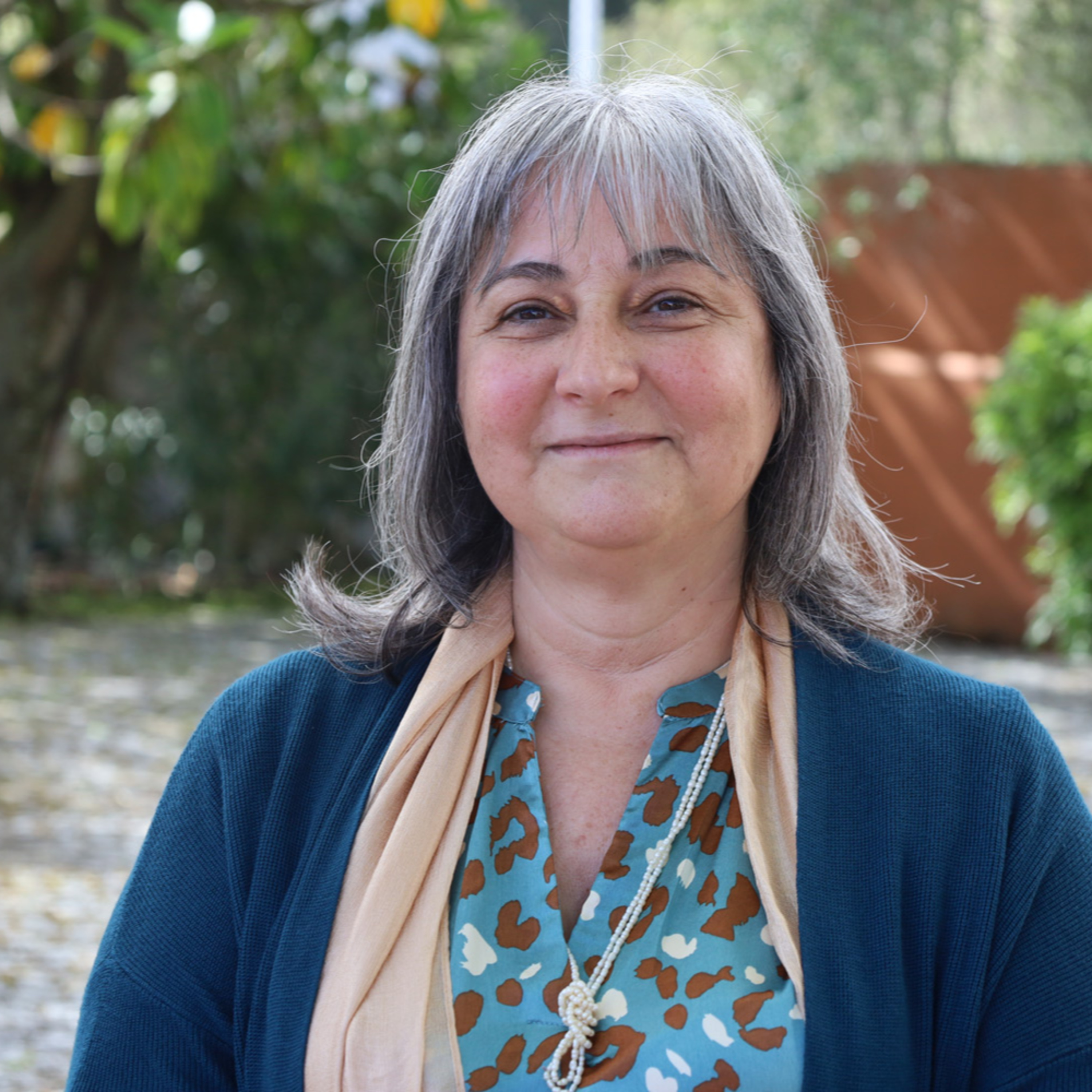 O Sínodo na diocese de Setúbal - Emissão 06-04-2024 episode artwork
