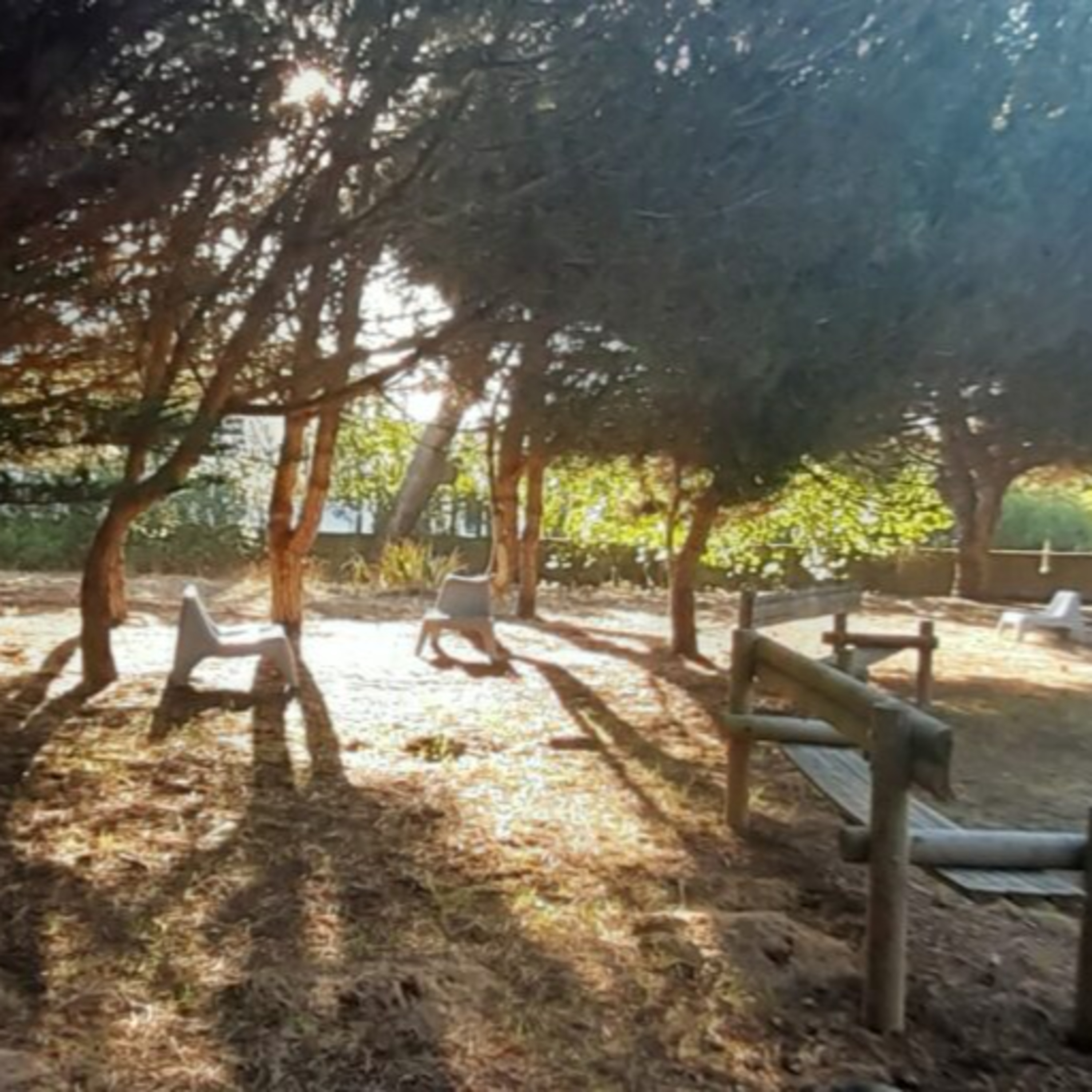 Discernimento e Sinodalidade – Emissão 06-10-2024