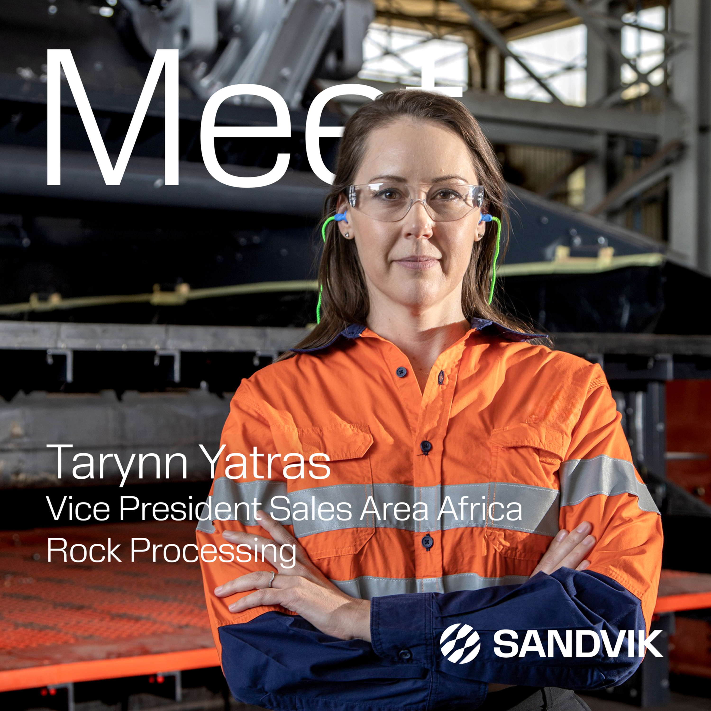 Meet Sandvik