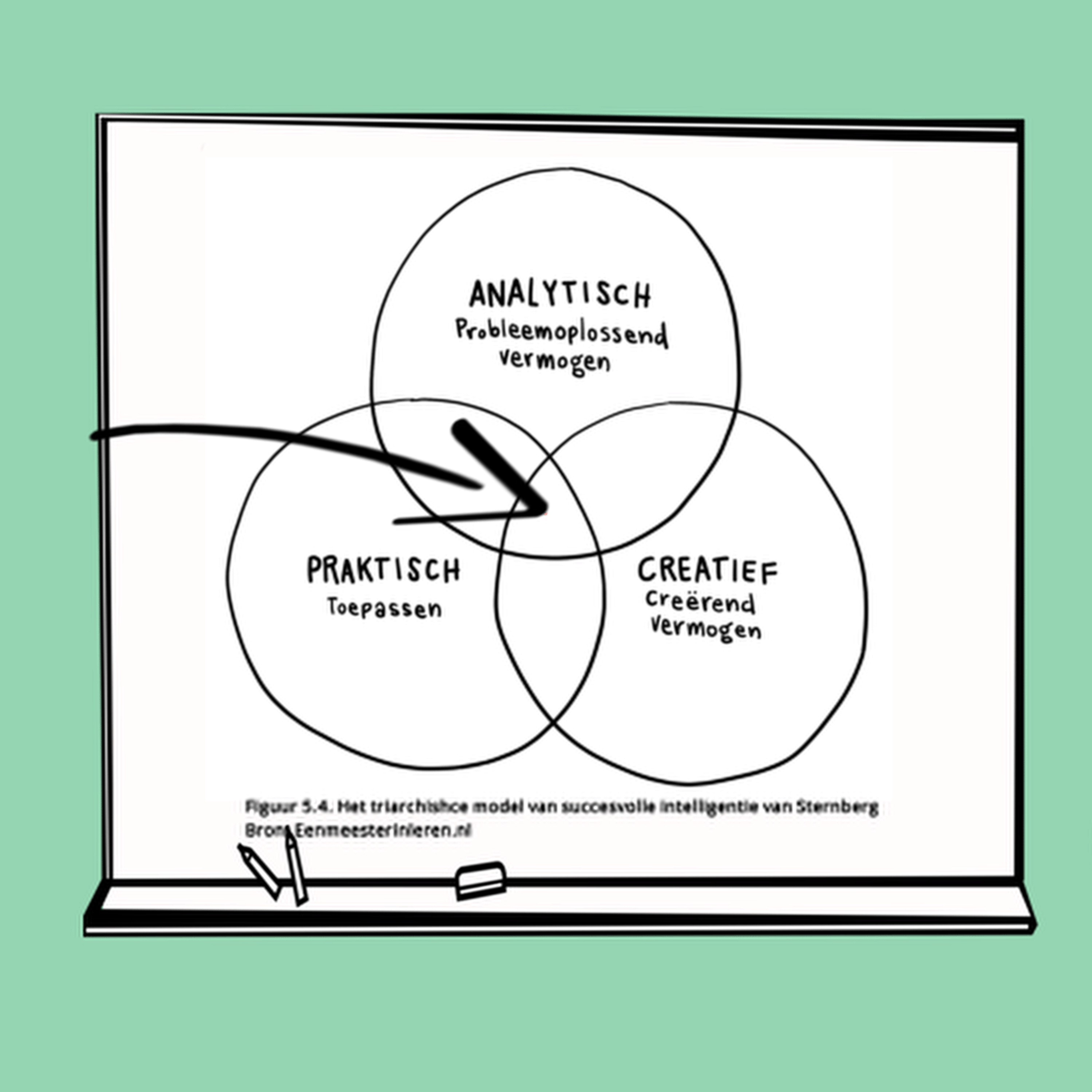 Intelligentie en leren Deel 5 - Triarchische model van succesvolle intelligentie van Sternberg episode artwork