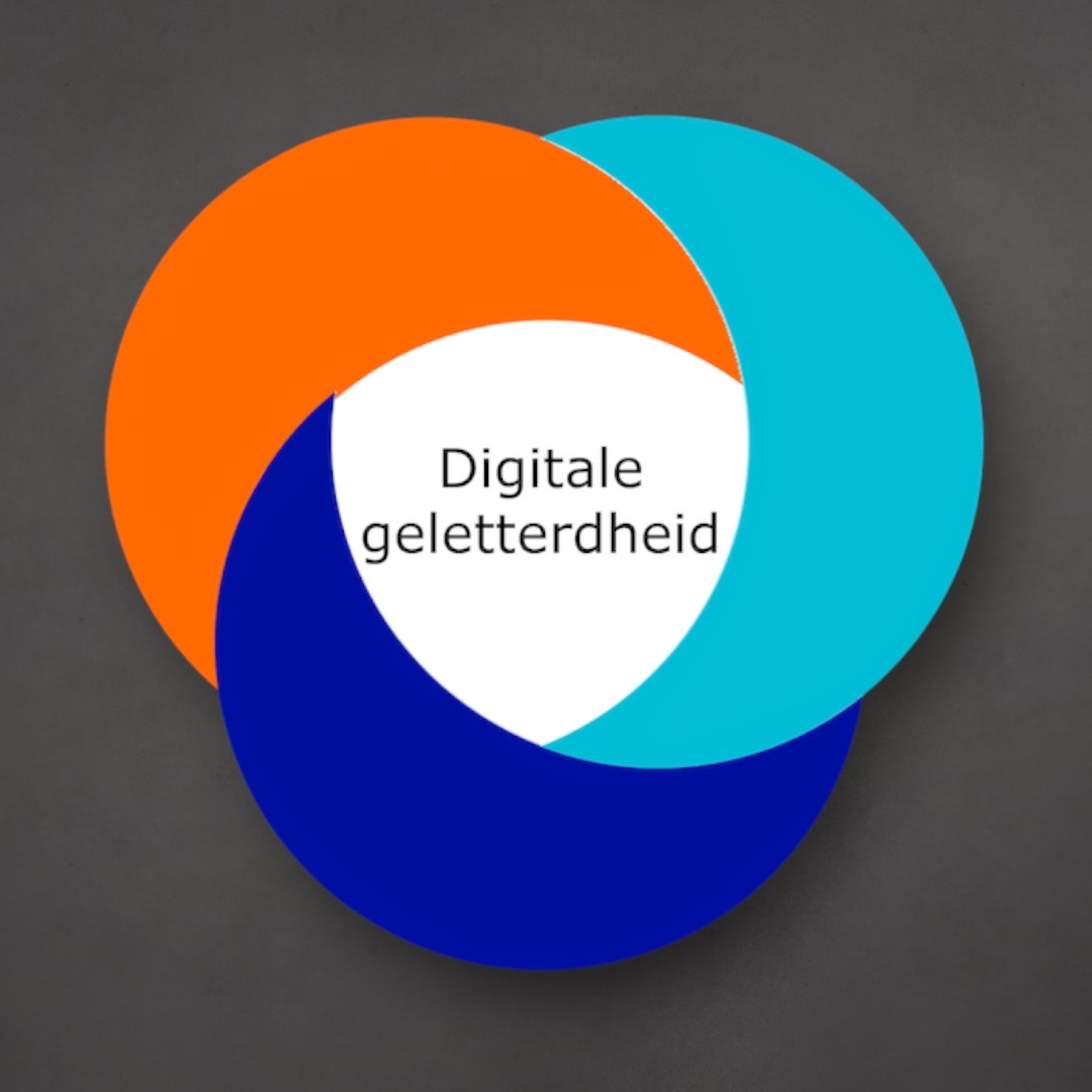 Digitale geletterdheid Deel 1 - Definitie en Kerndoelen van het SLO episode artwork
