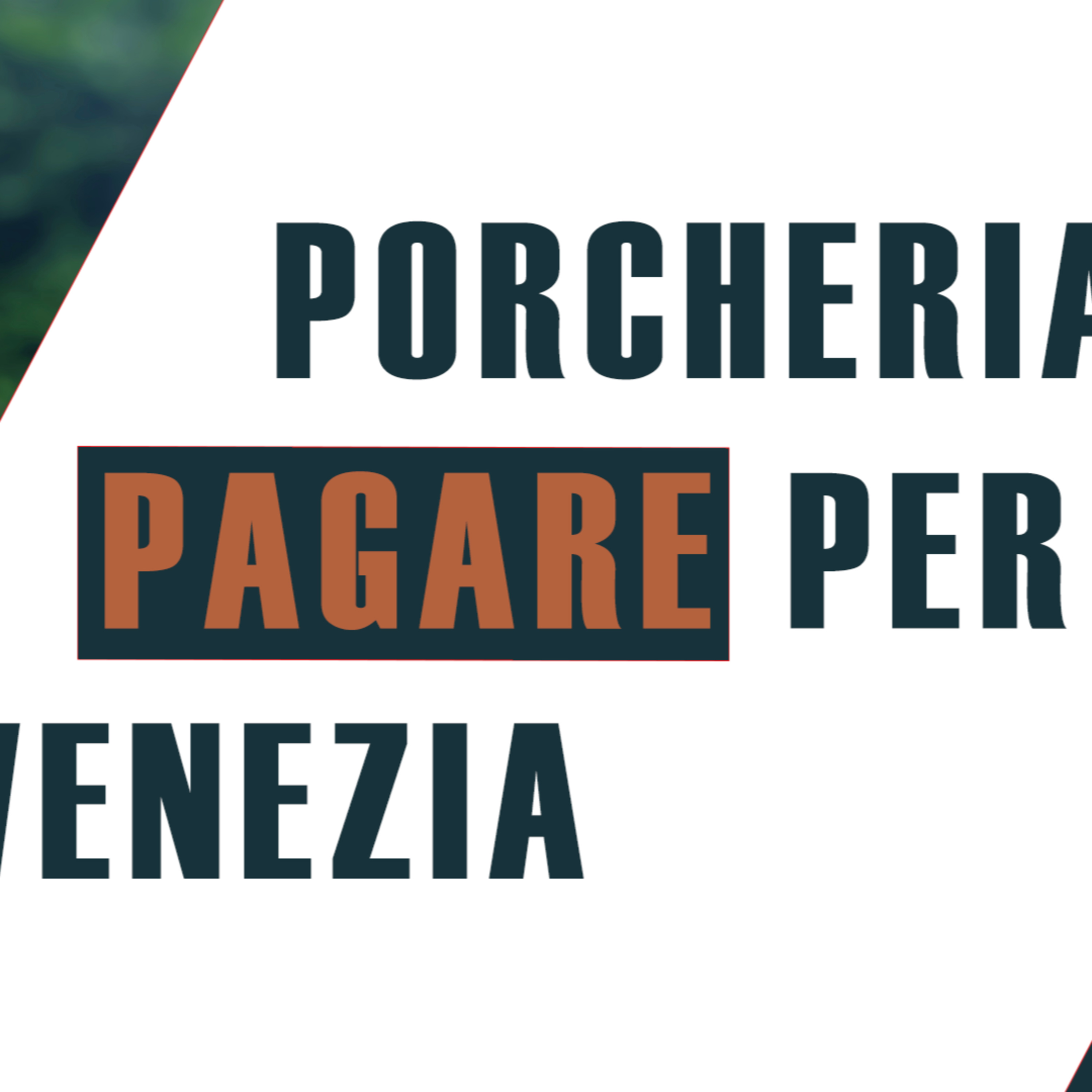 PAGARE per vedere Venezia? Una porcheria! episode artwork