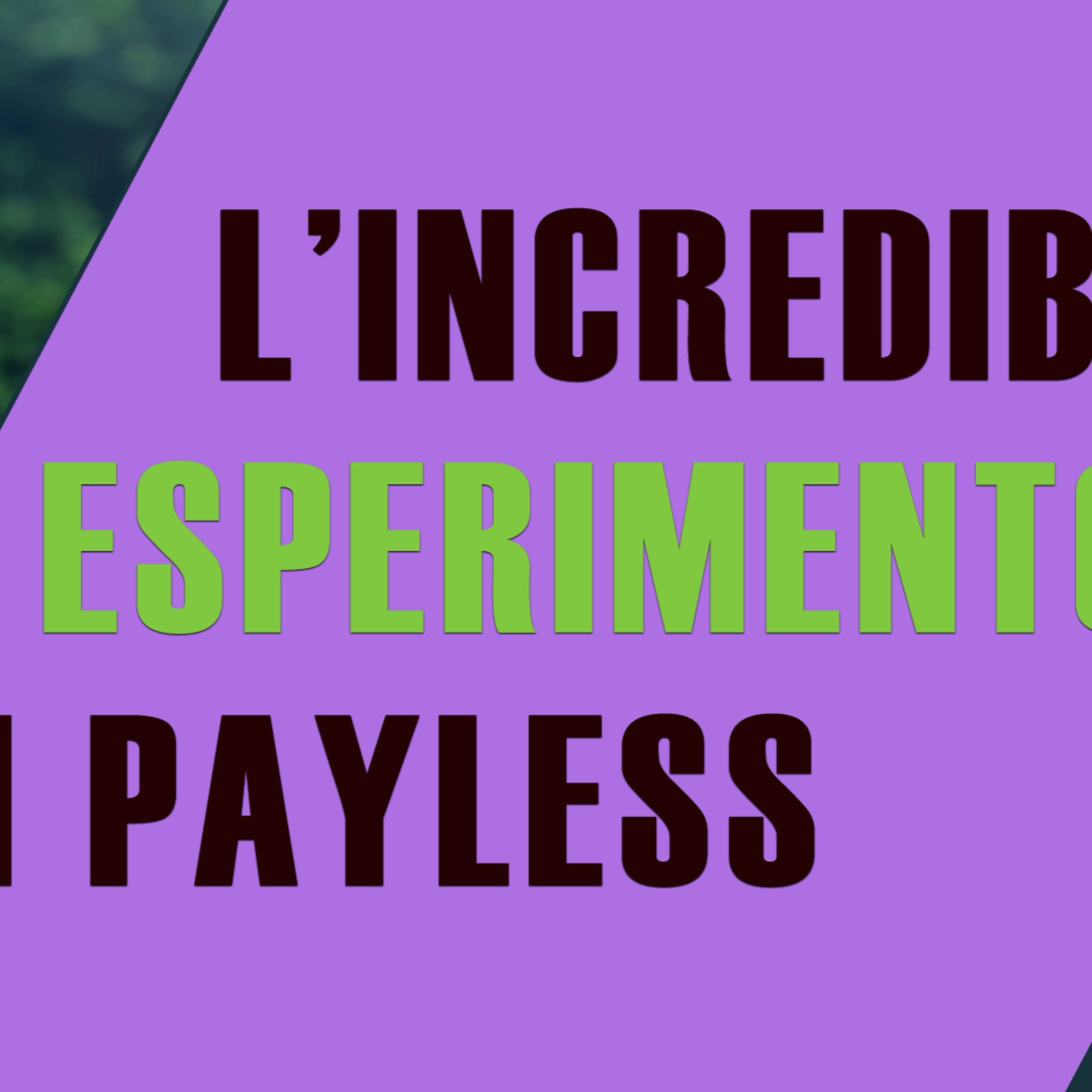 L'esperimento di PayLess e il grande inganno del marketing episode artwork