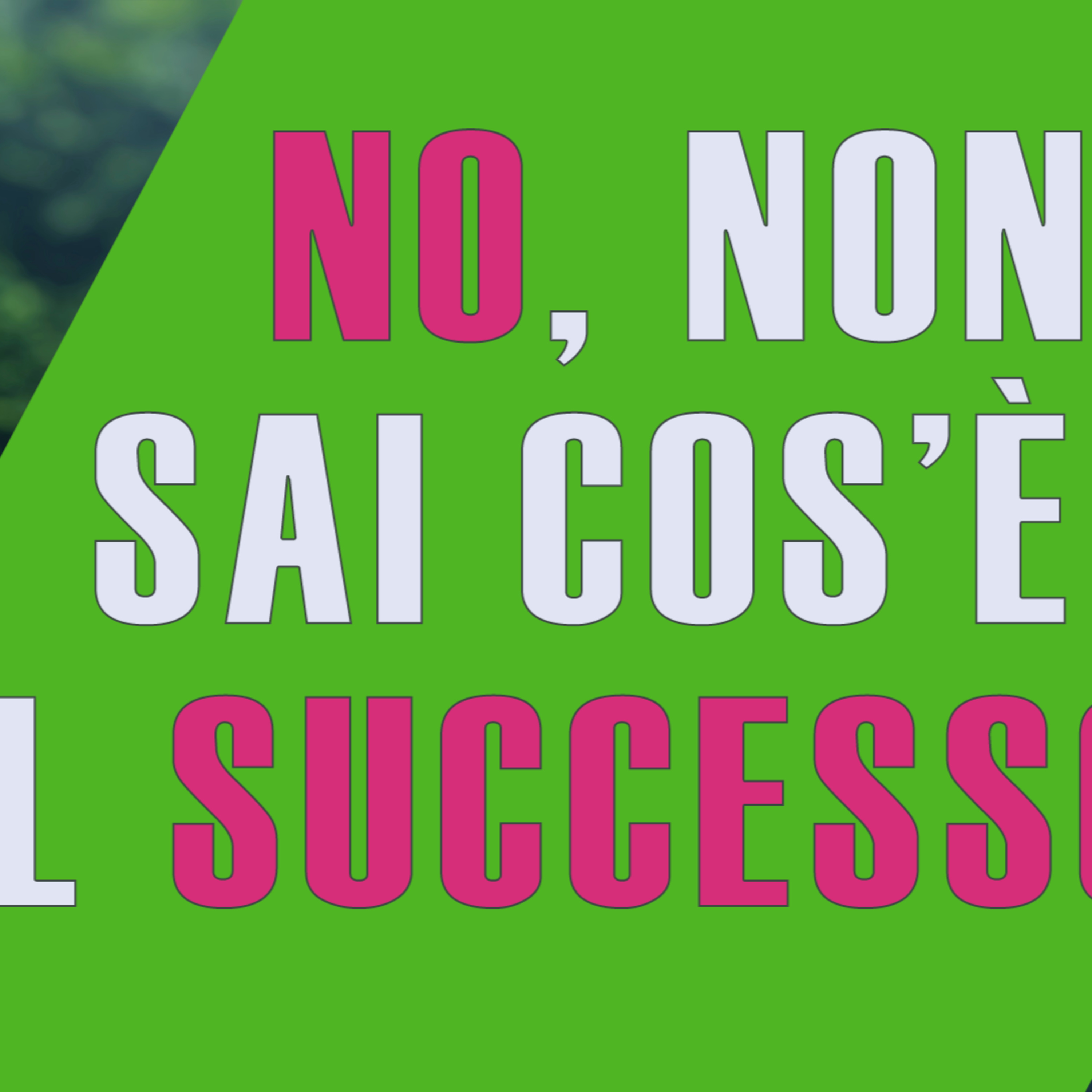 NON puoi aver capito cos'è il successo episode artwork